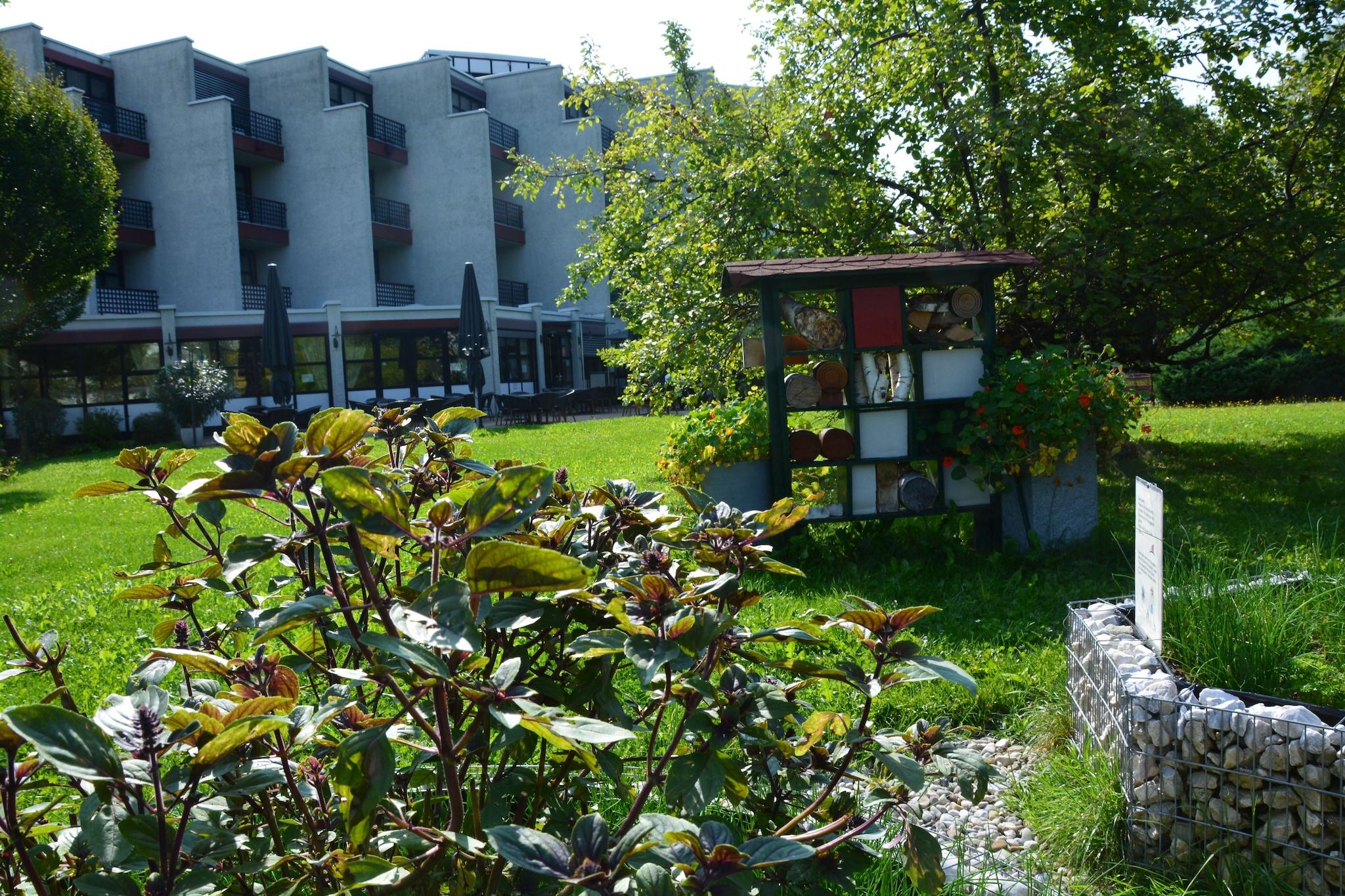 Apartment Queen Size Bed