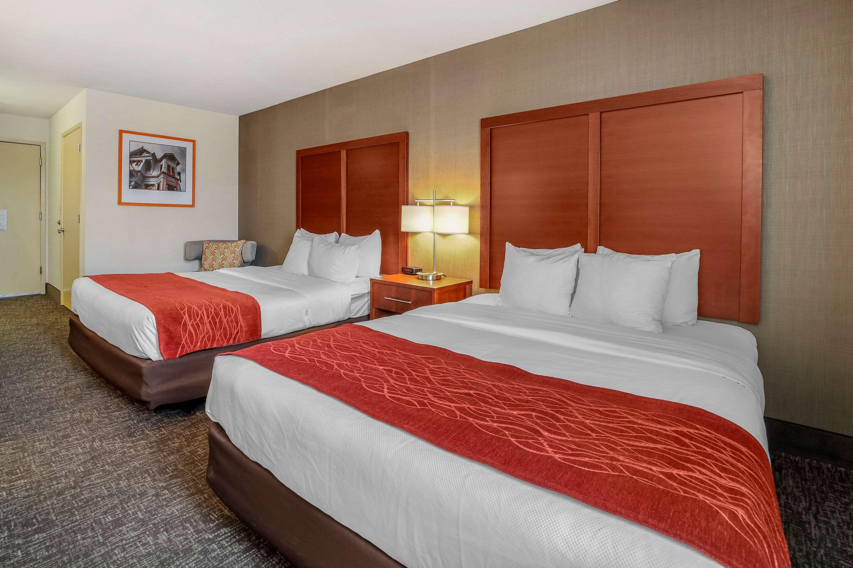 Quadruple Two Queen Beds