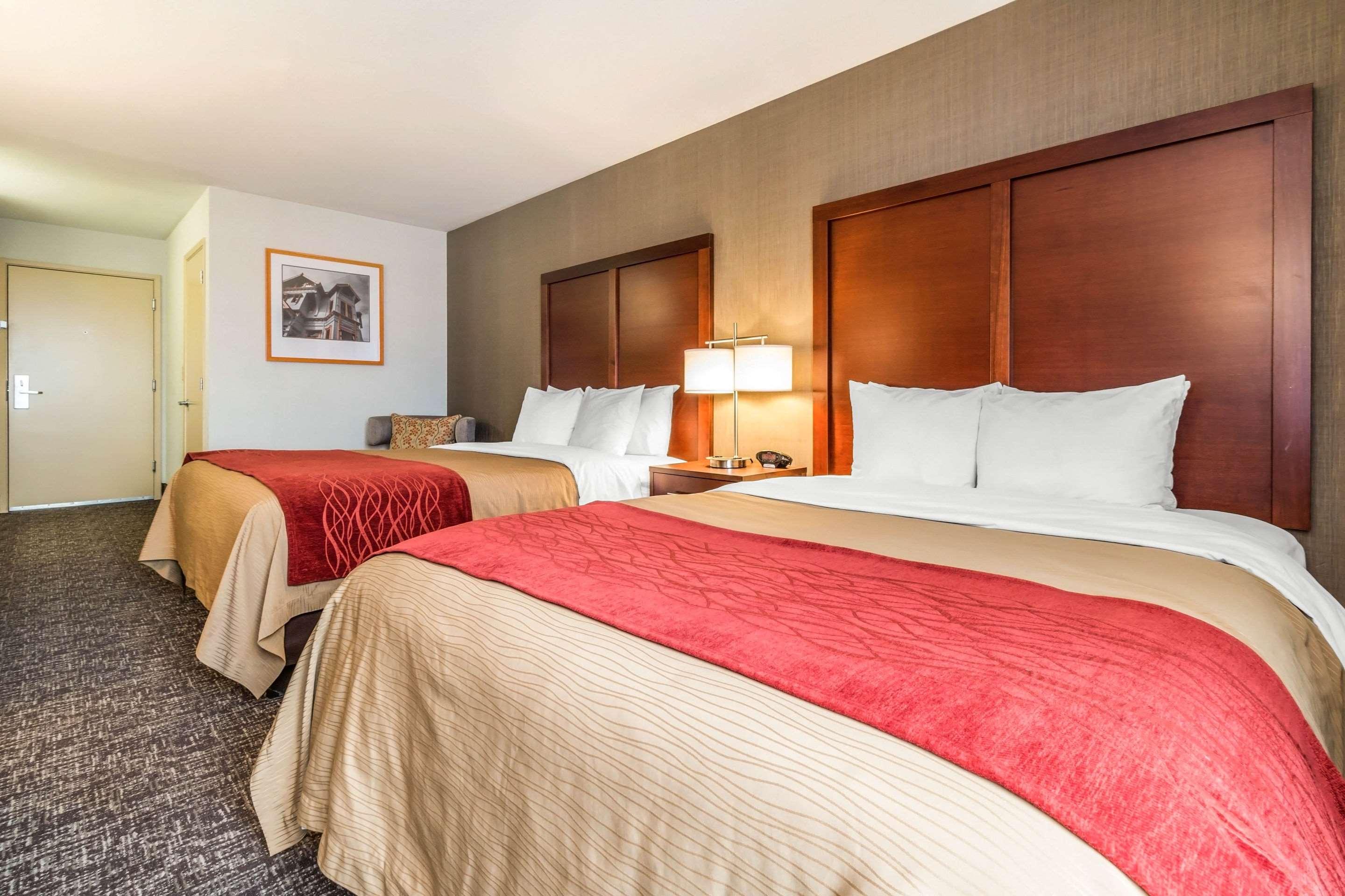 Quadruple Two Queen Beds