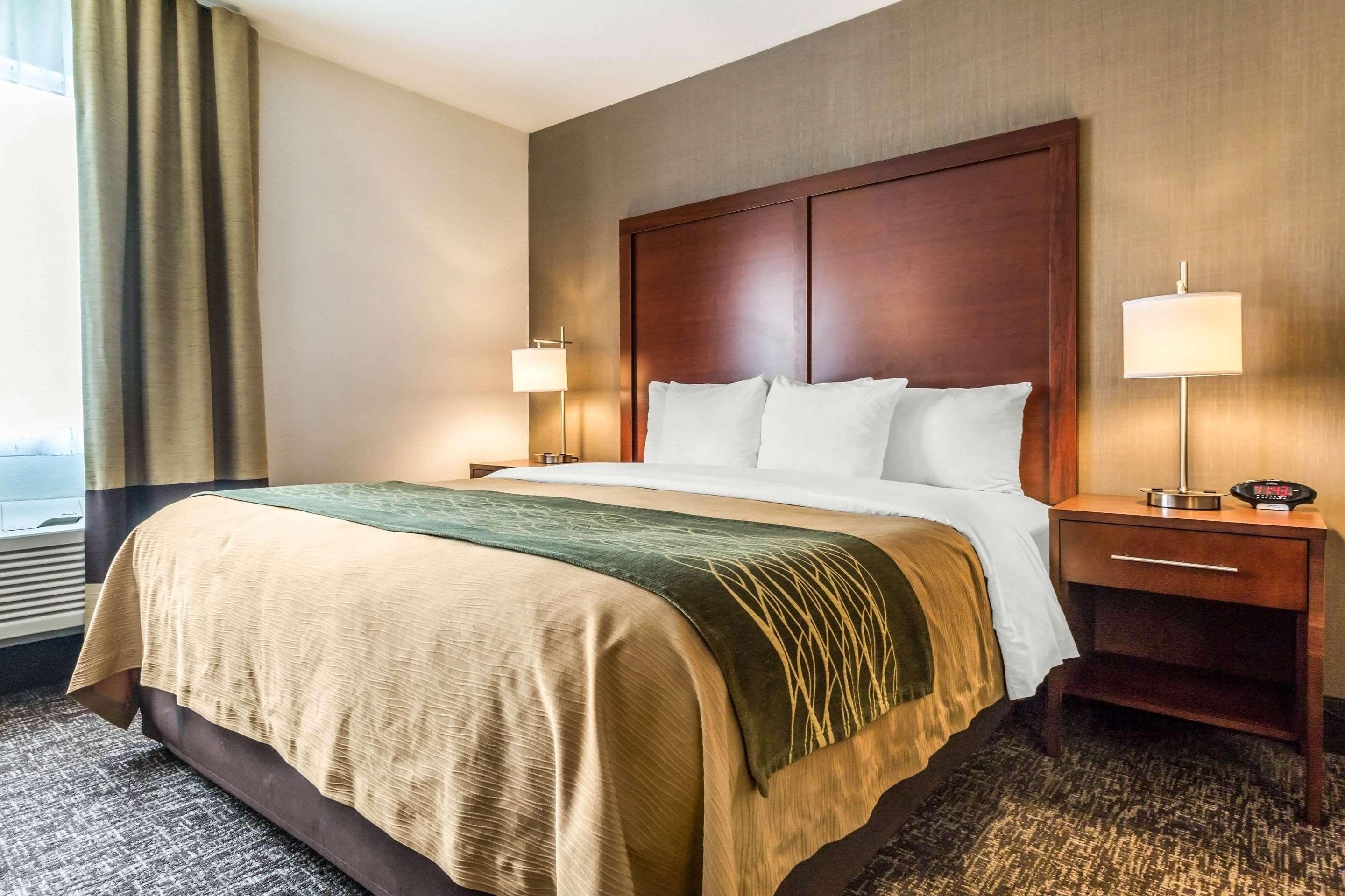 Double King Bed Non Smoking