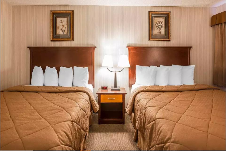 Suite Two Queen Beds