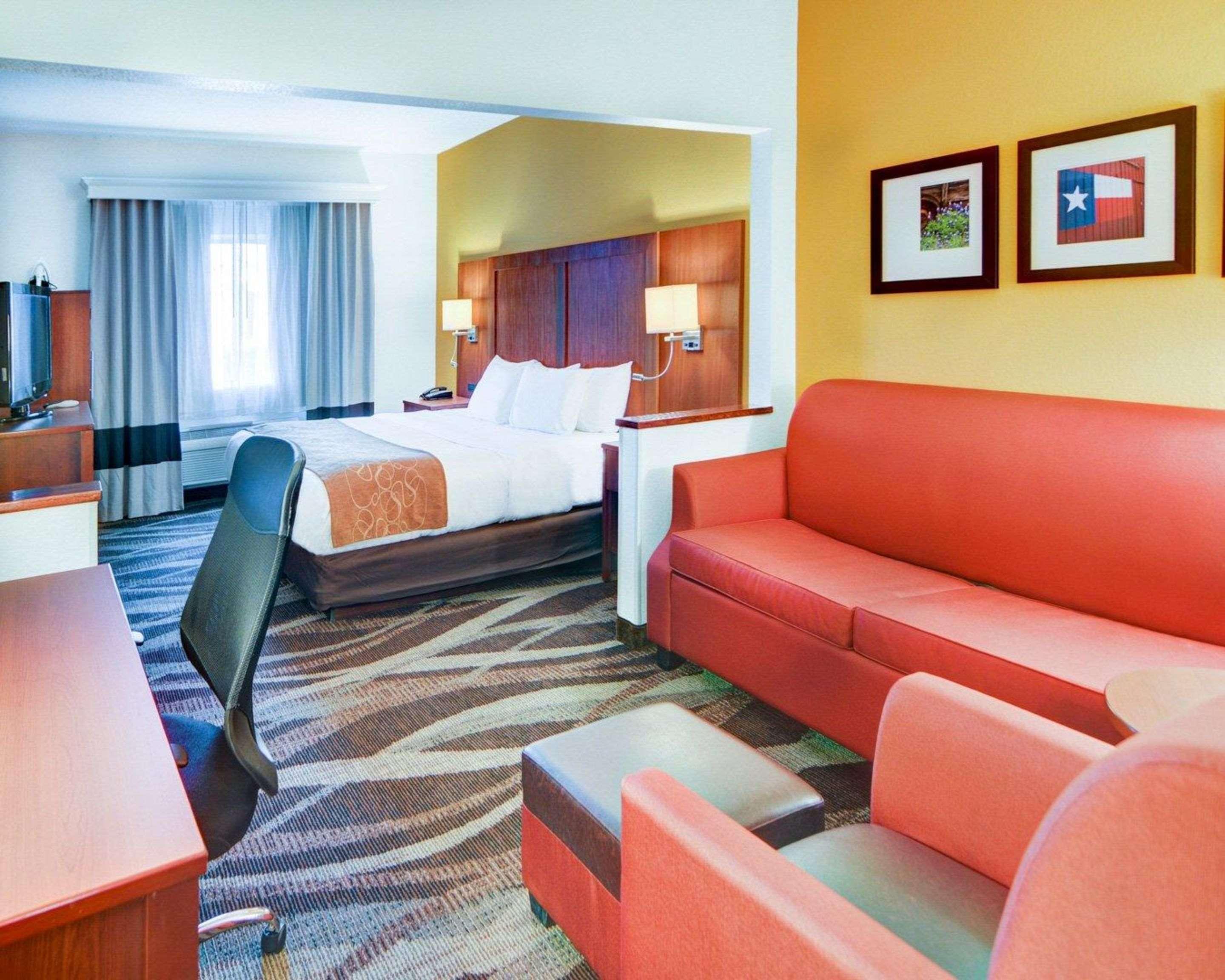 Suite King Bed Non Smoking