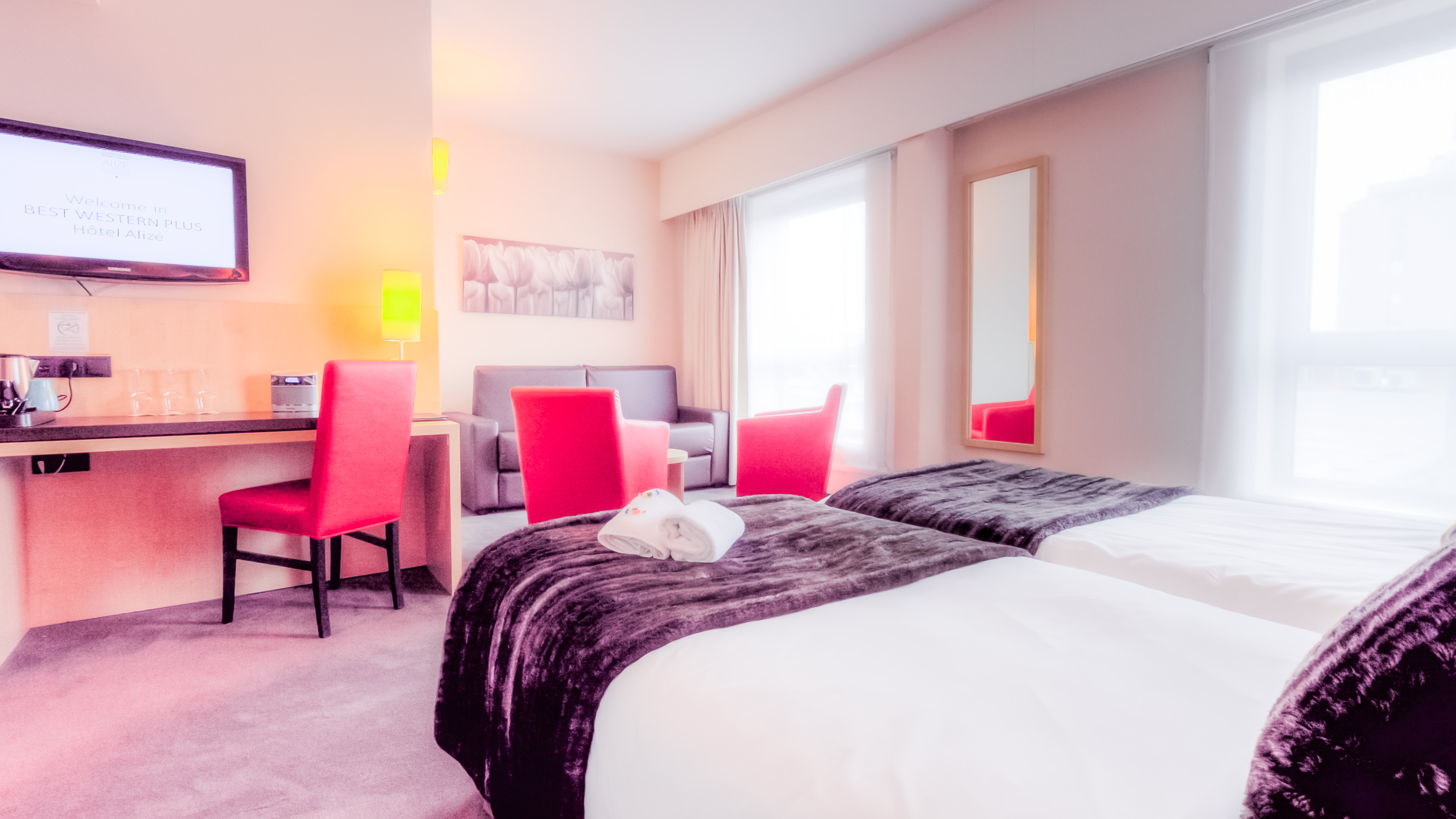 Family Room Executive