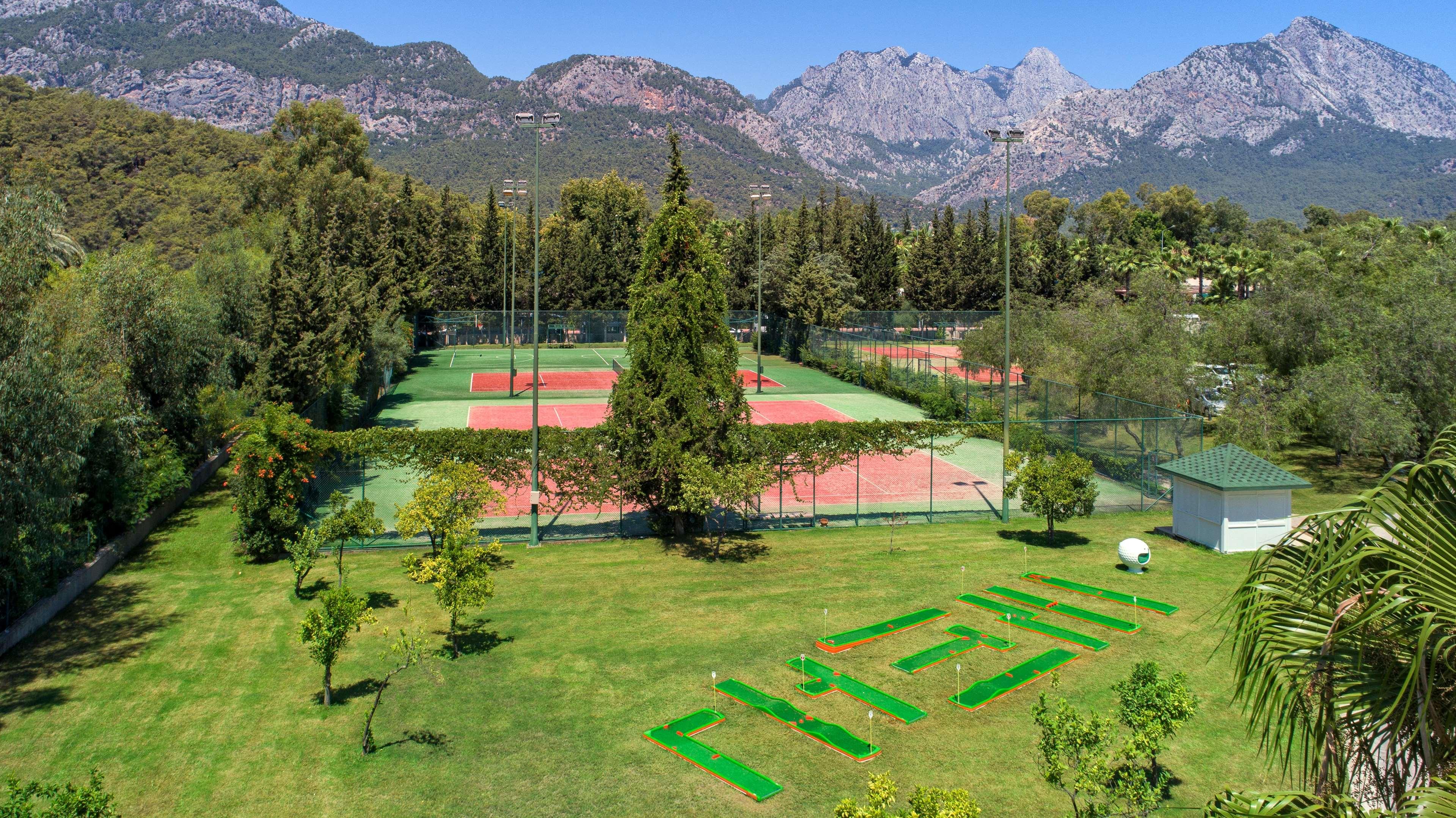 Sports and Entertainment