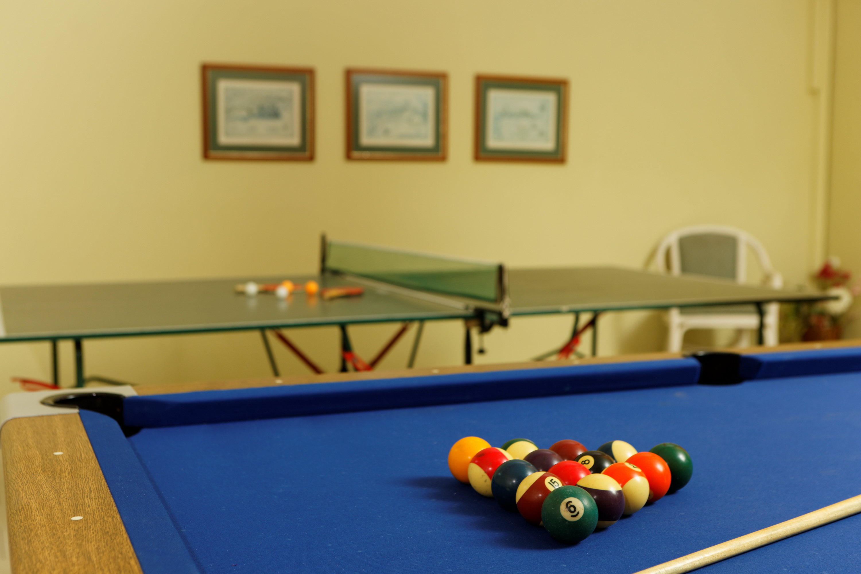 Sports and Entertainment