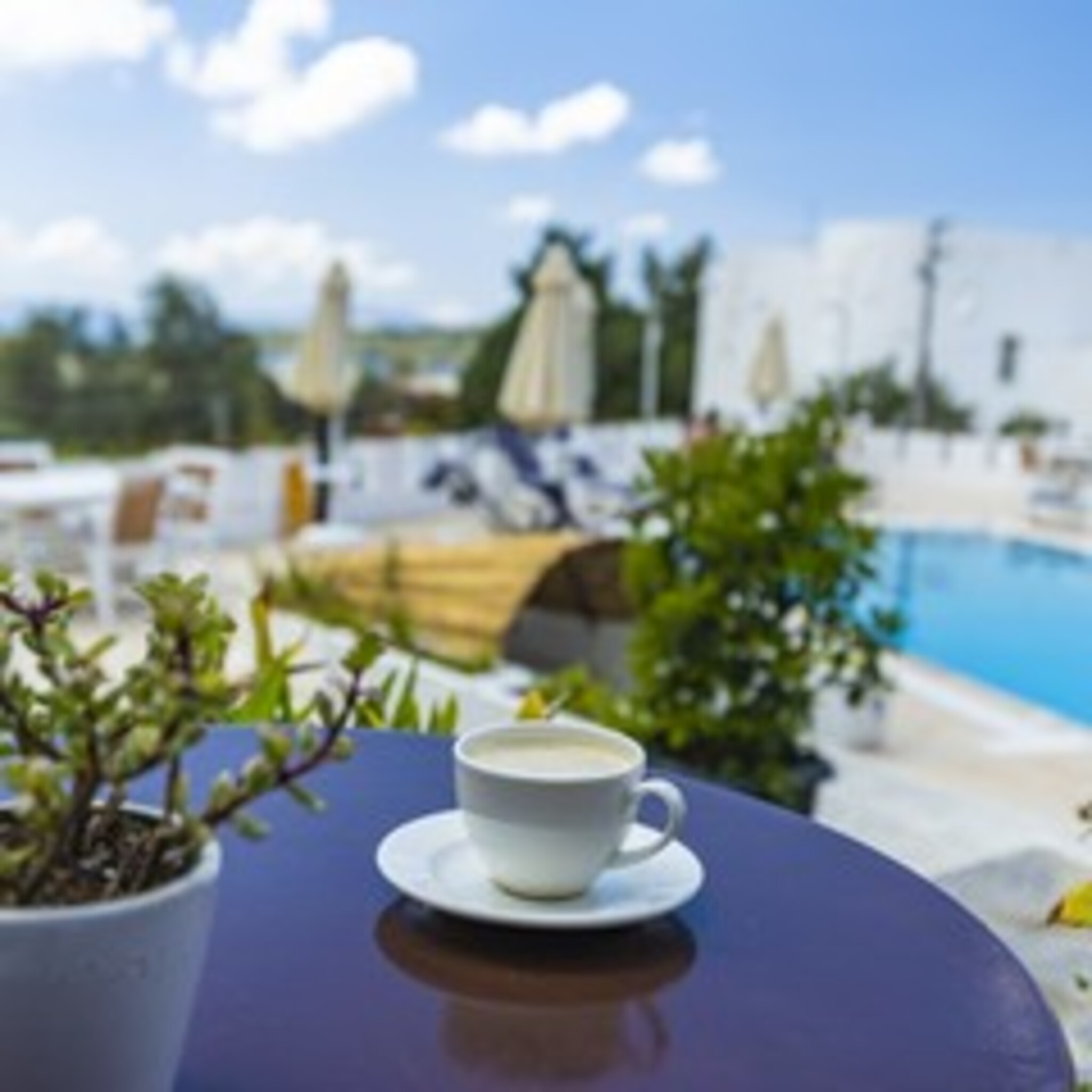 Double or Twin Deluxe with Terrace