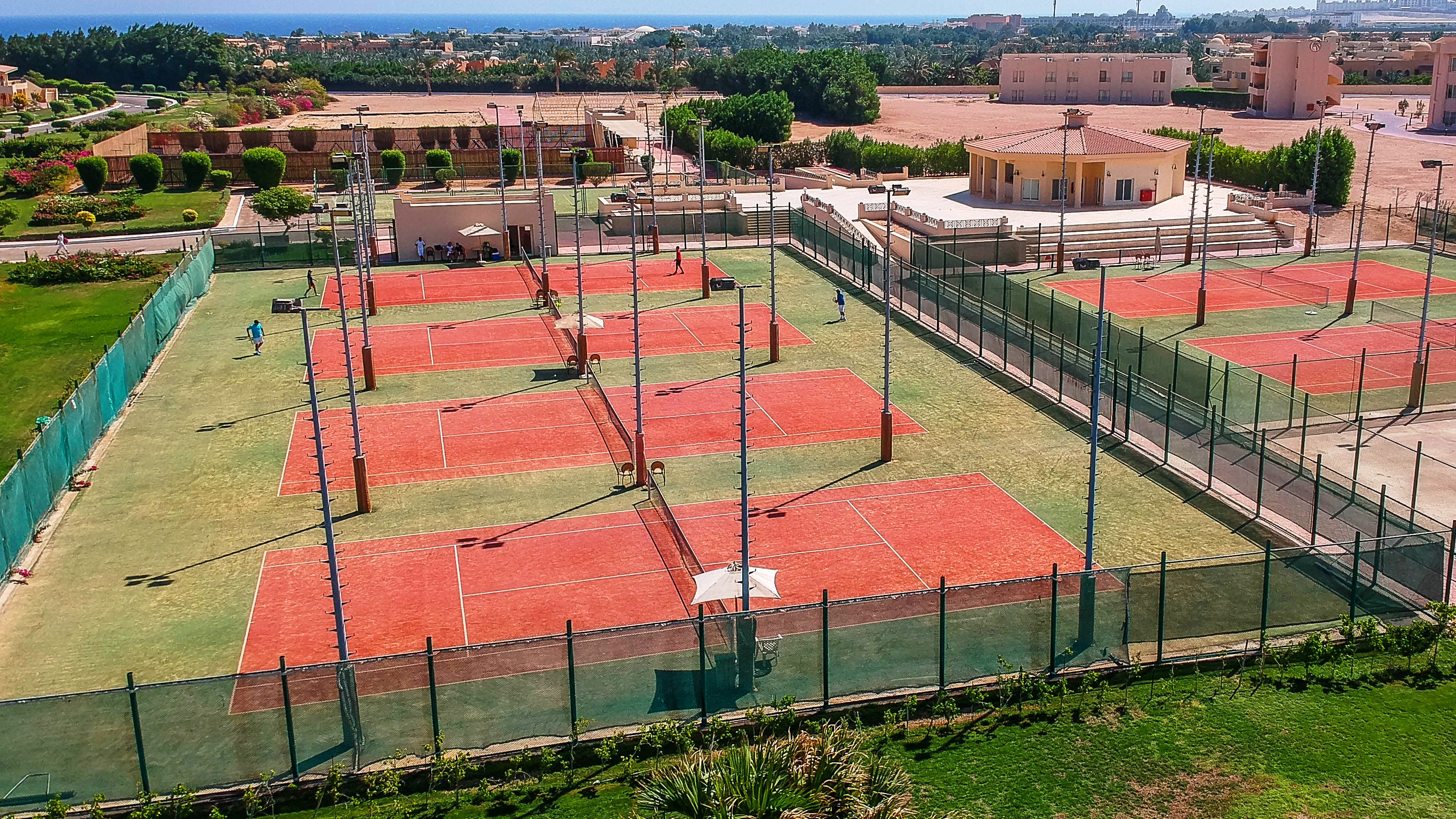 Sports and Entertainment