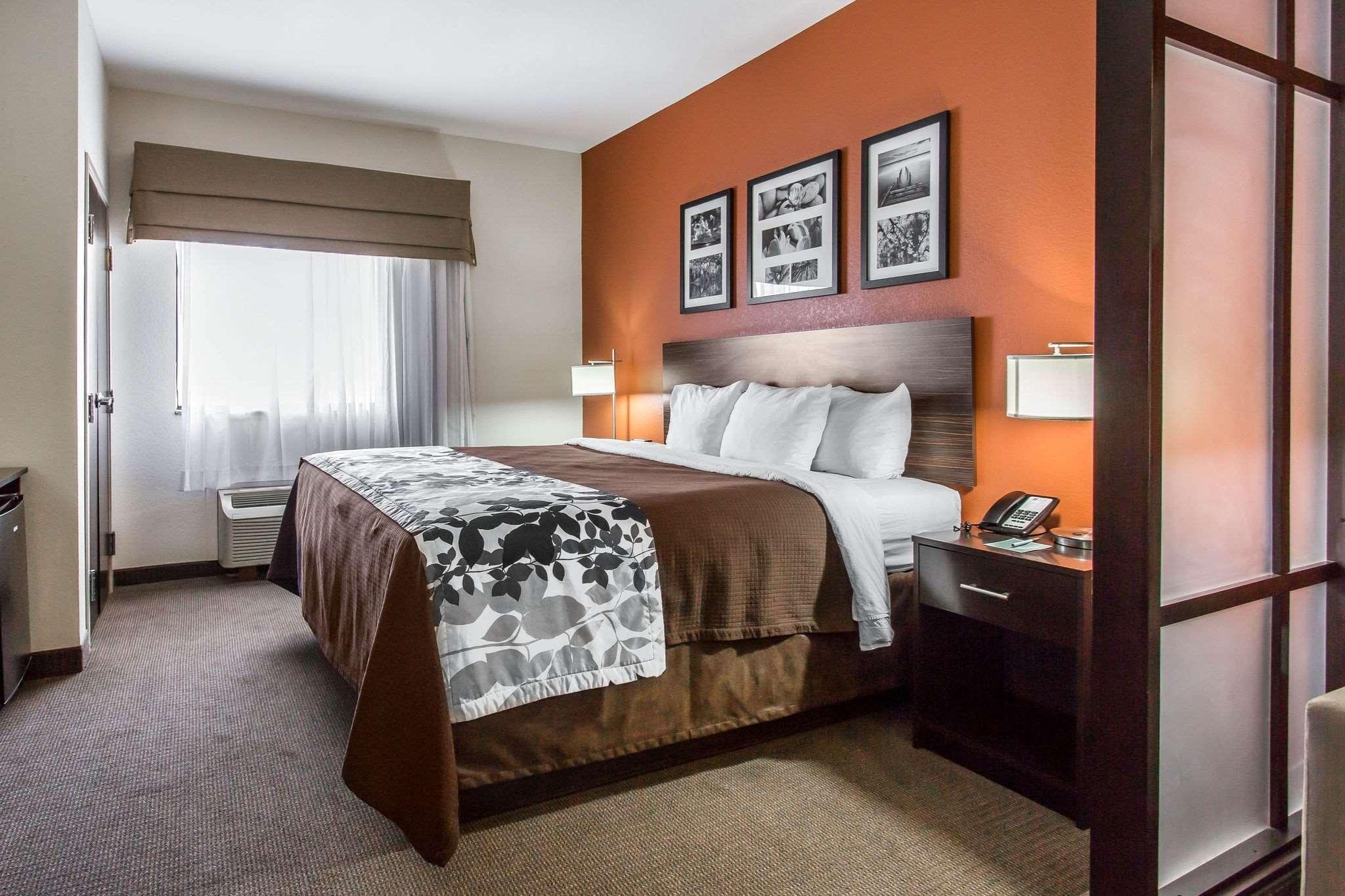 Suite King Bed Non Smoking