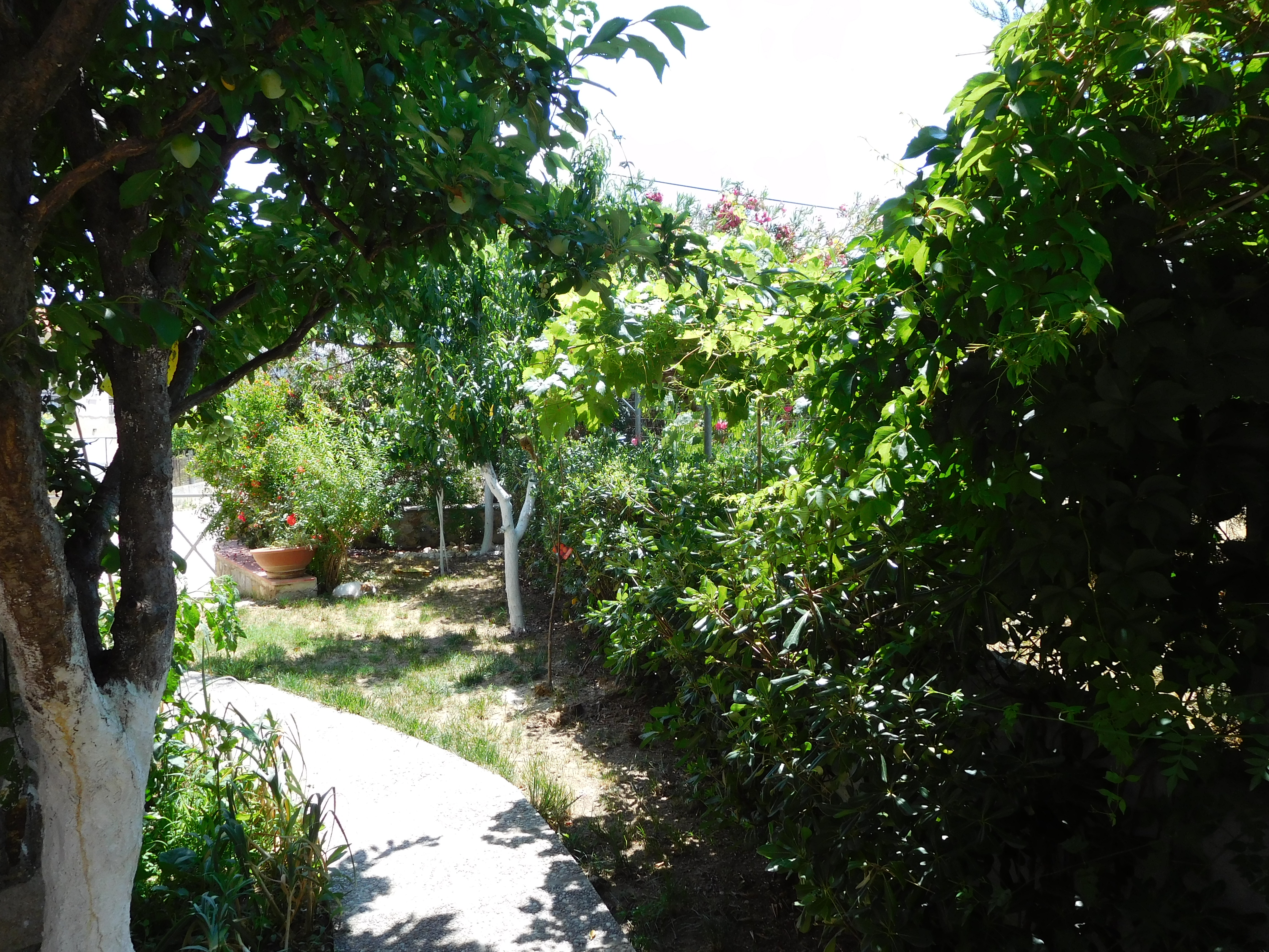 Double or Twin Classic