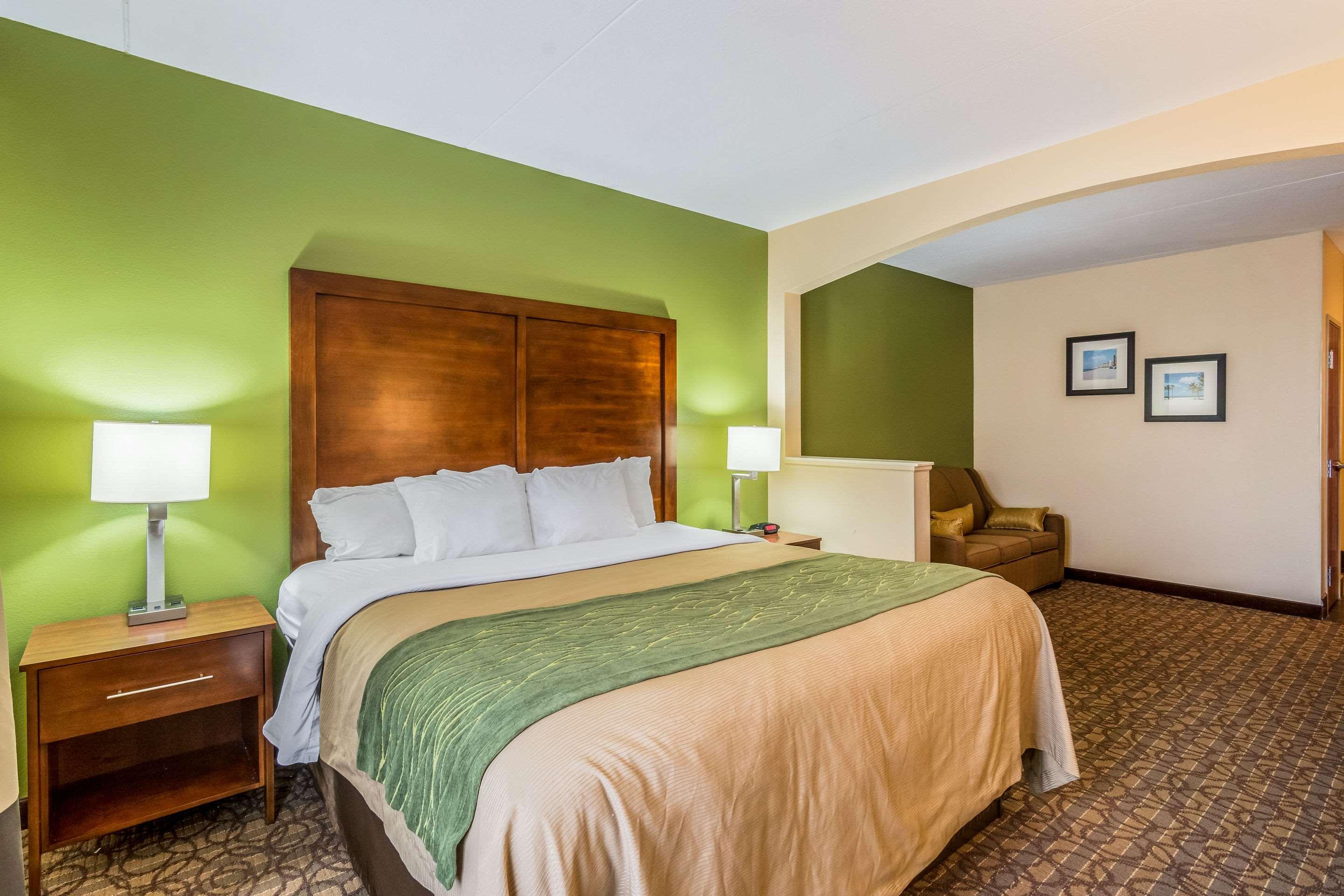 Suite King Bed Non Smoking