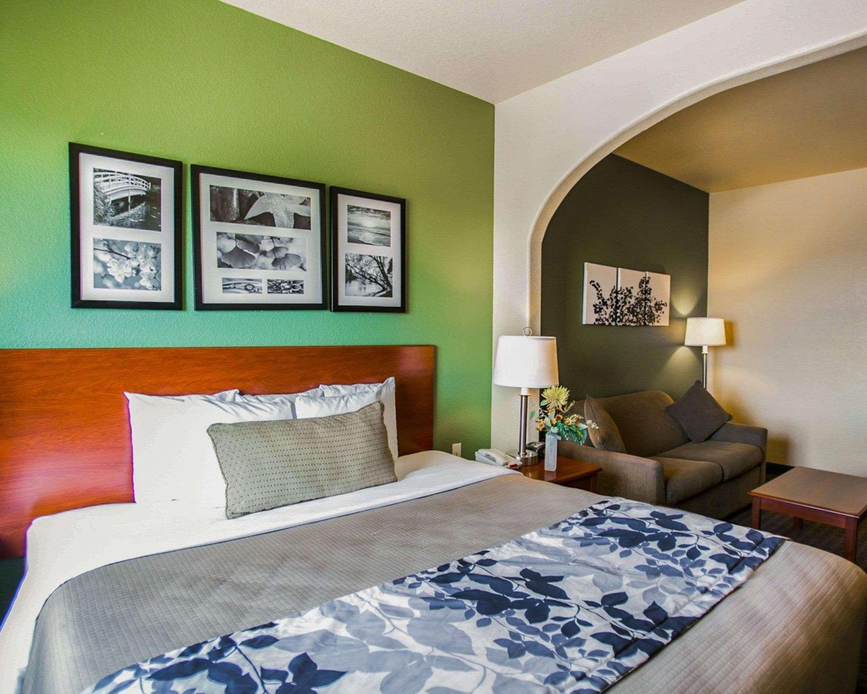 Suite King Bed Non Smoking