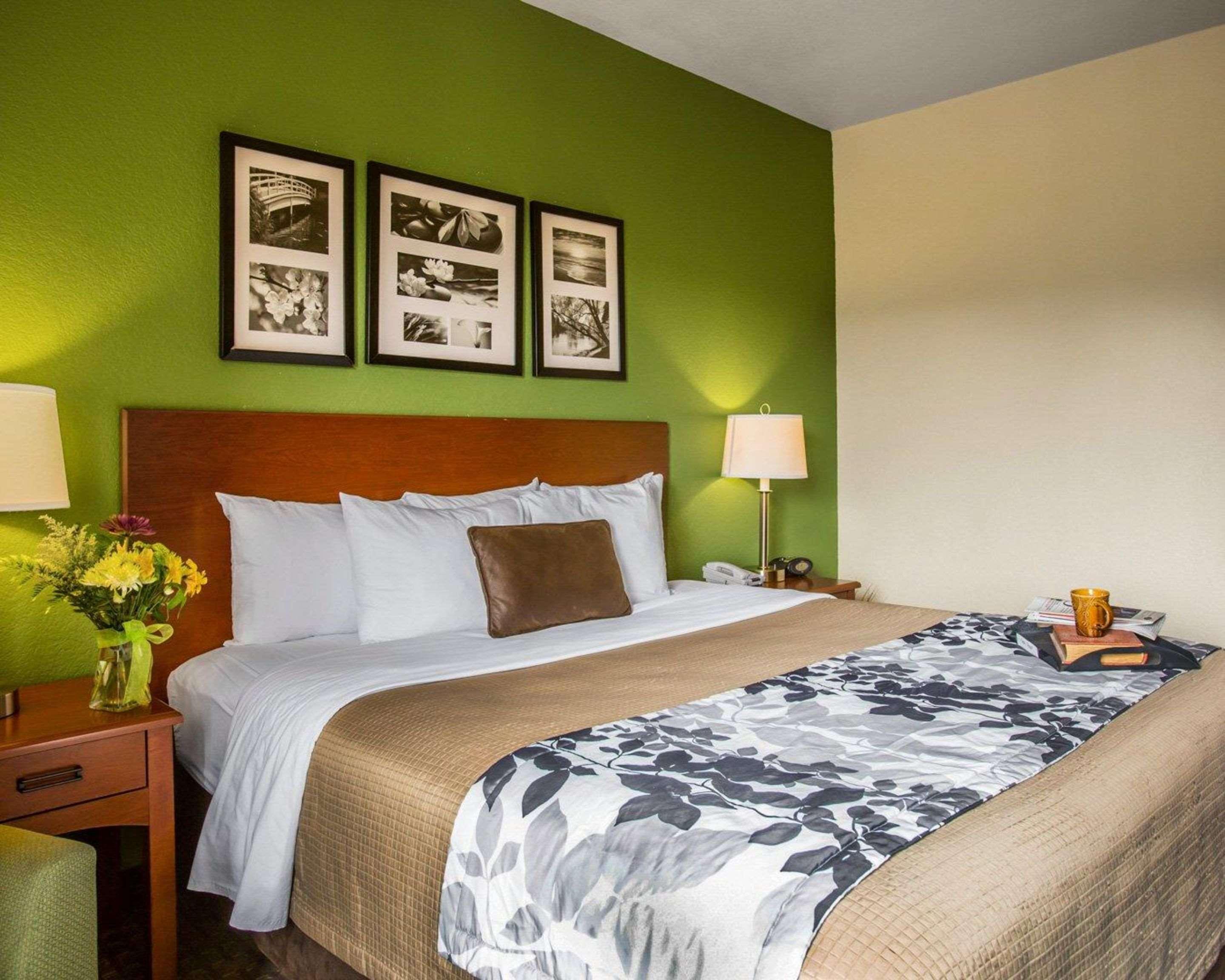 Double King Bed Non Smoking