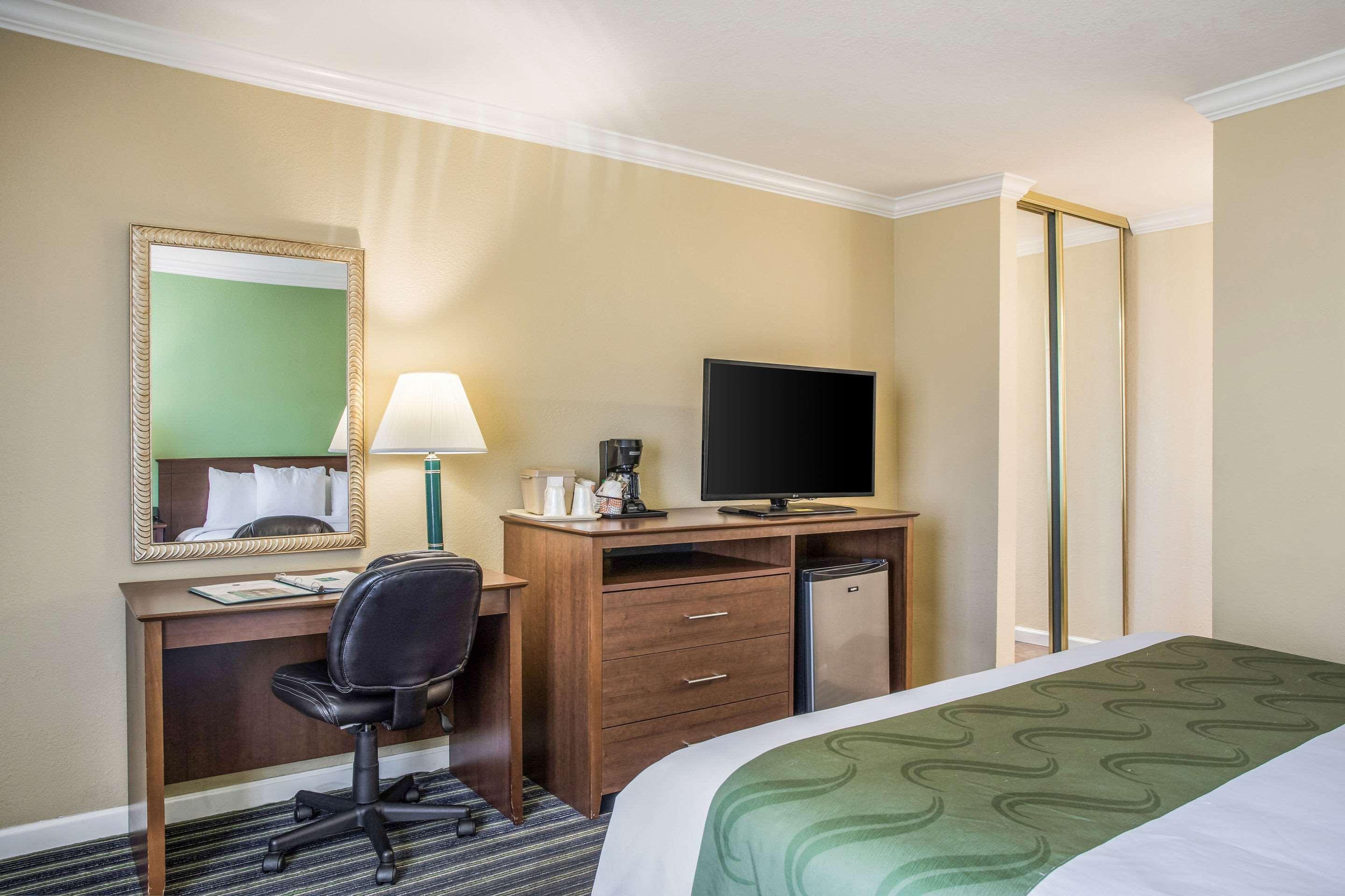 Double King Bed Non Smoking