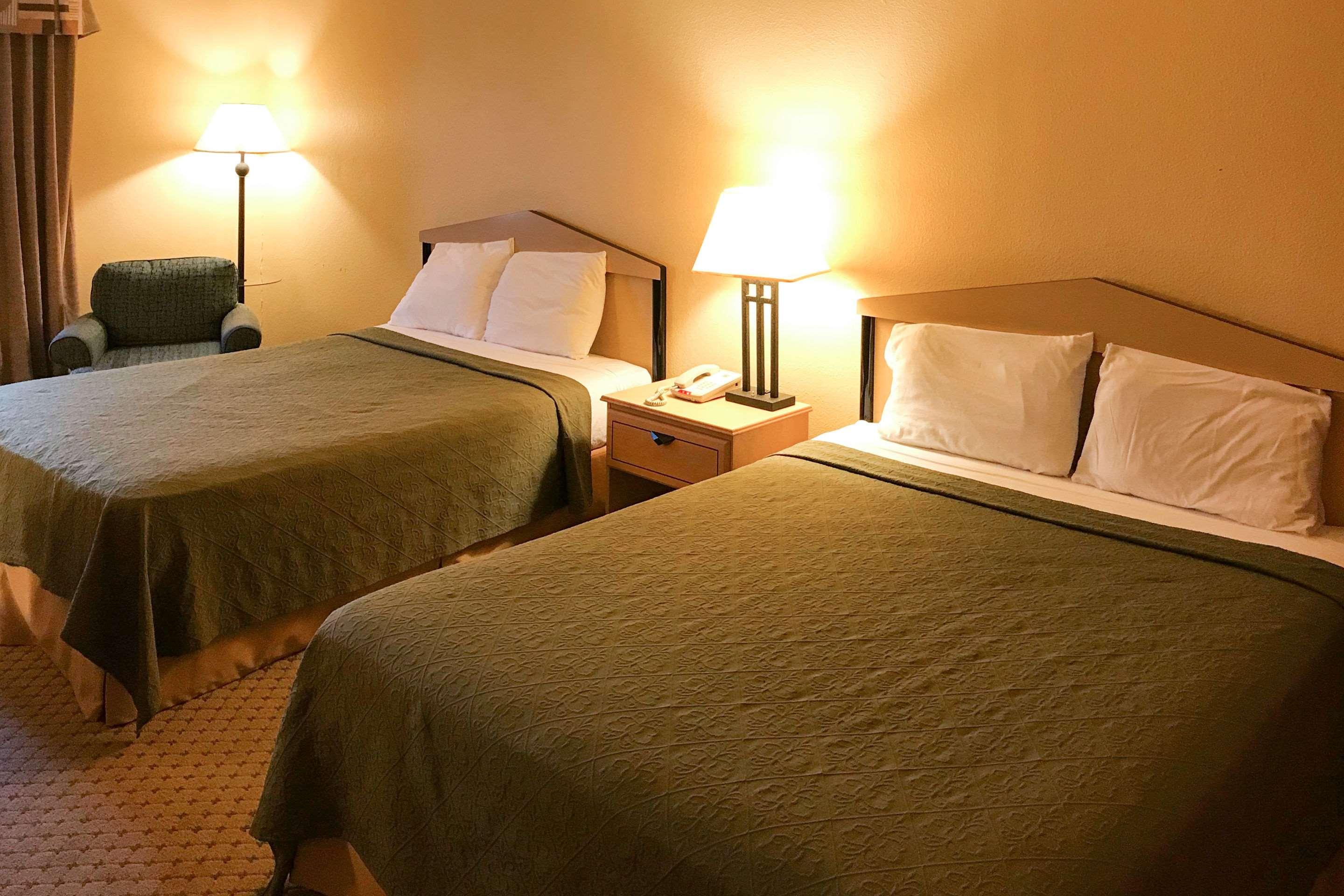 Double Two Queen Beds