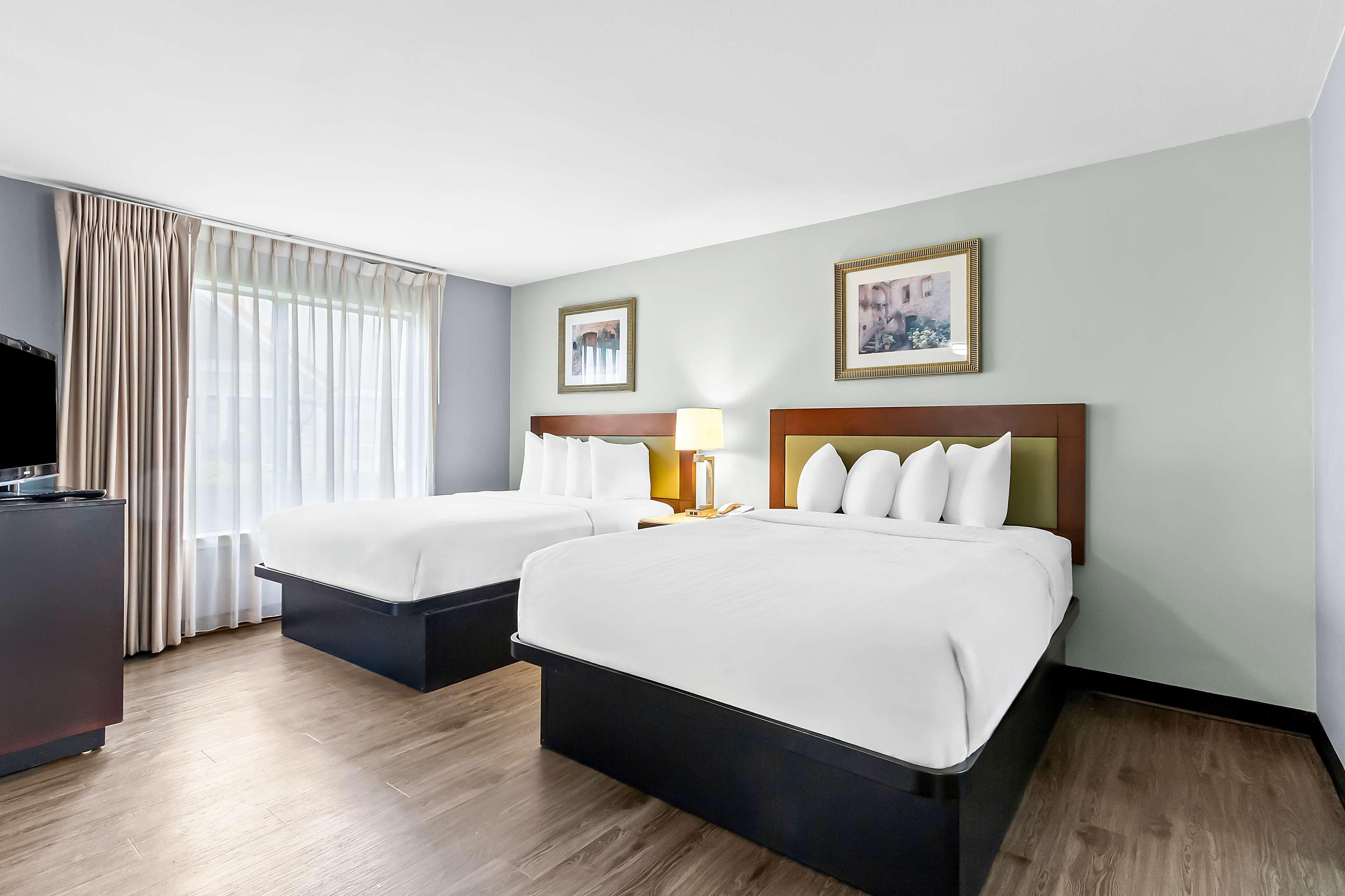 Suite Two Queen Beds