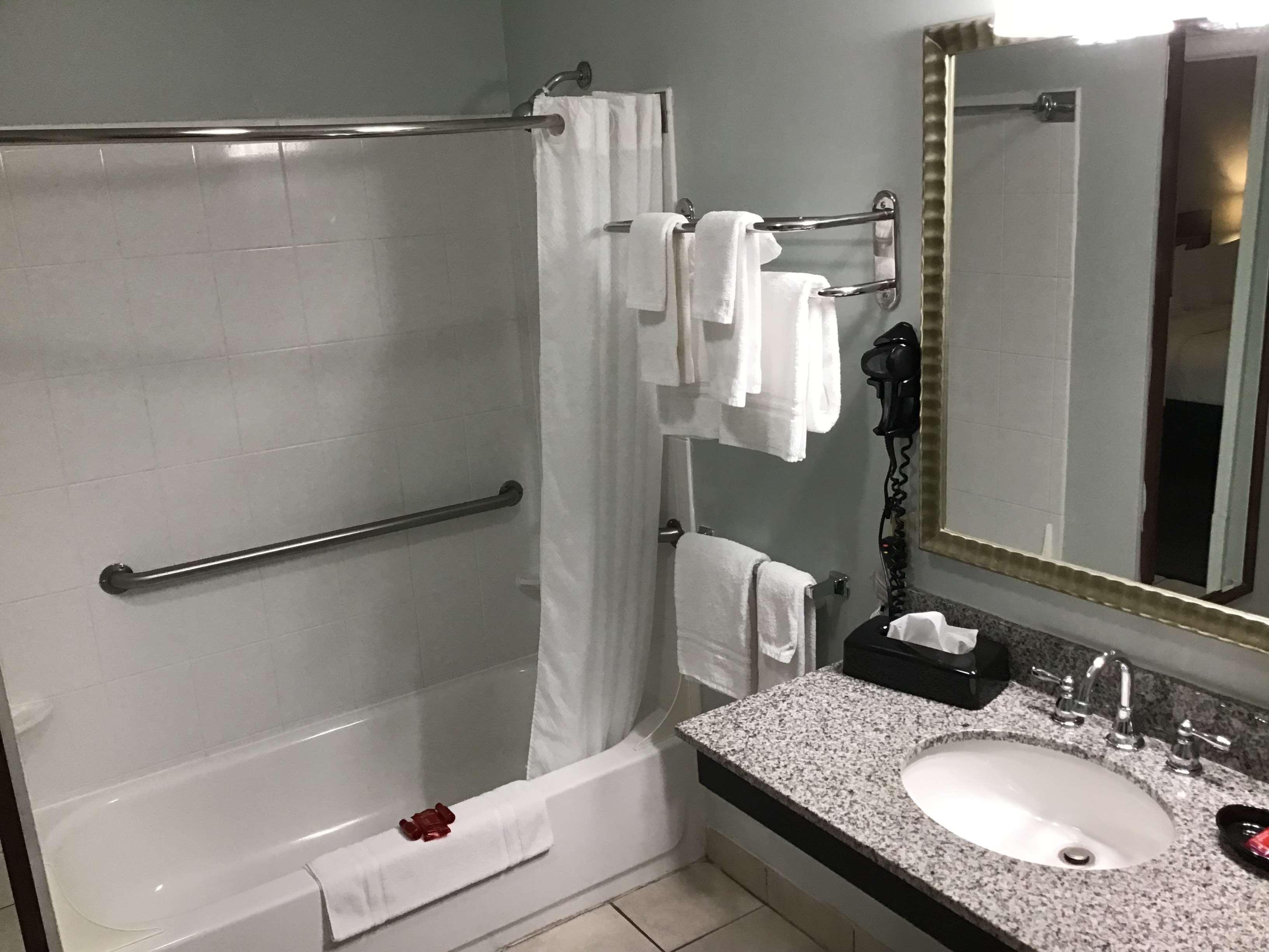 Suite Accessible King Size Bed