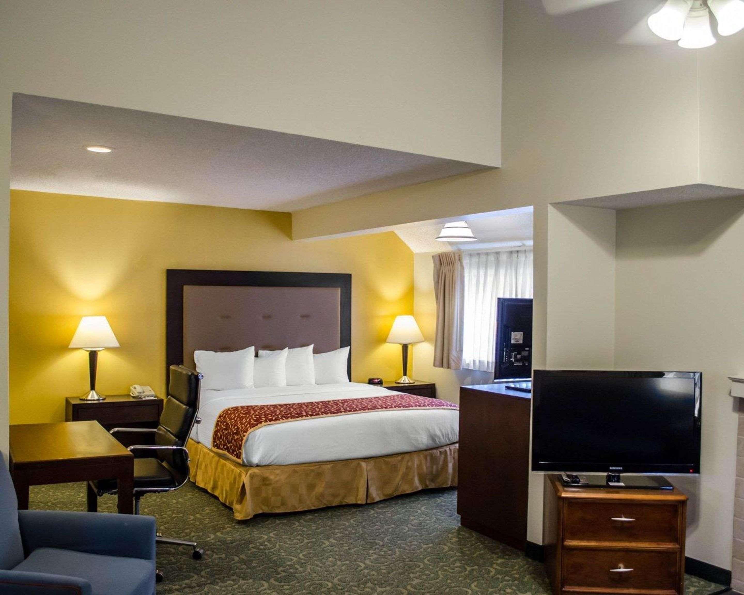 Suite Accessible King Size Bed