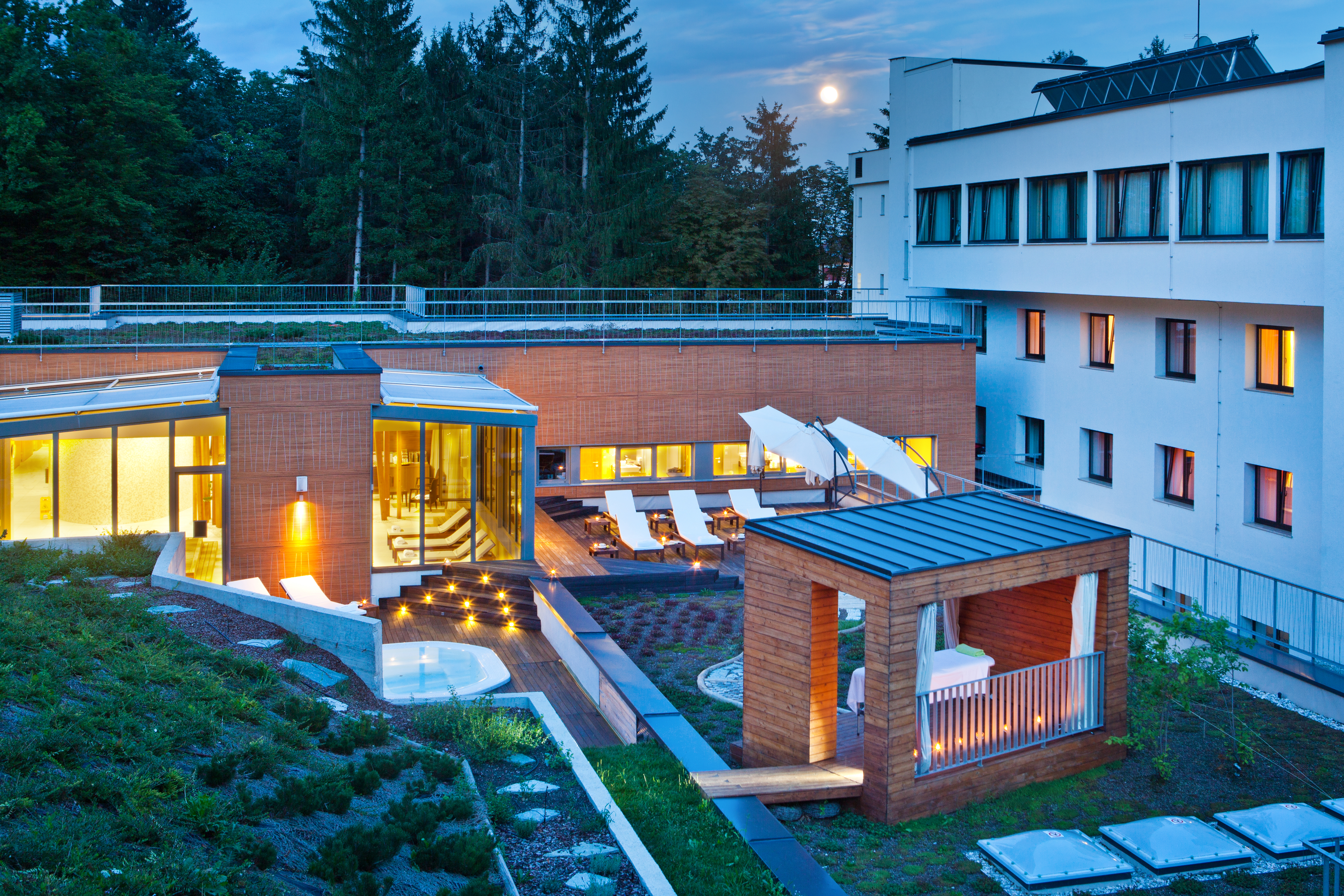 Sports and Entertainment