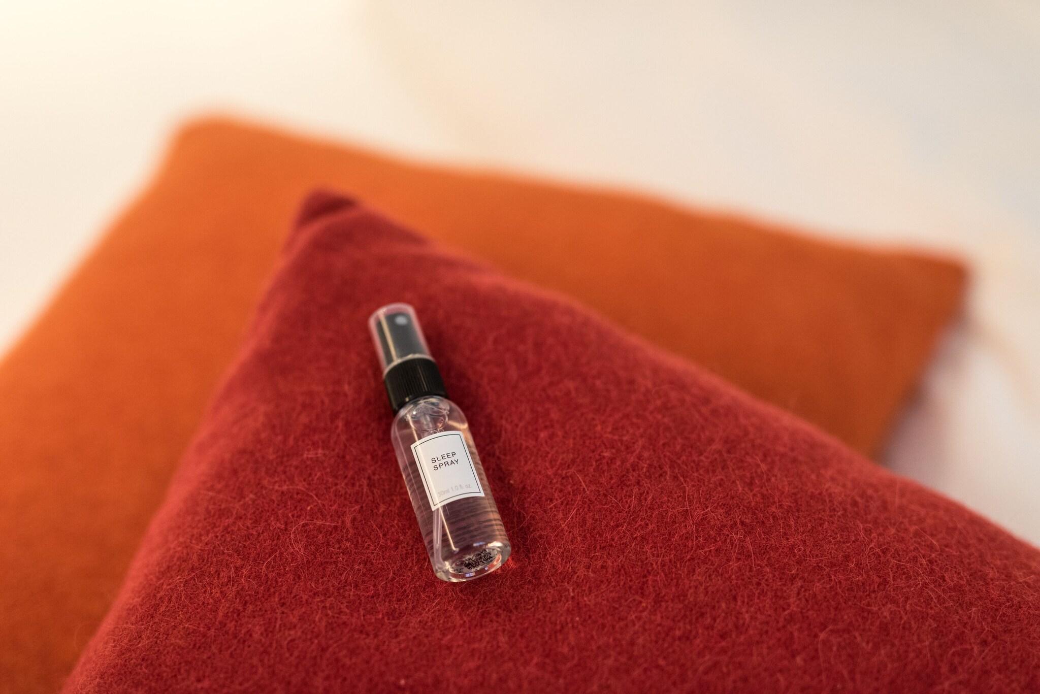 Family Room Queen Size Bed