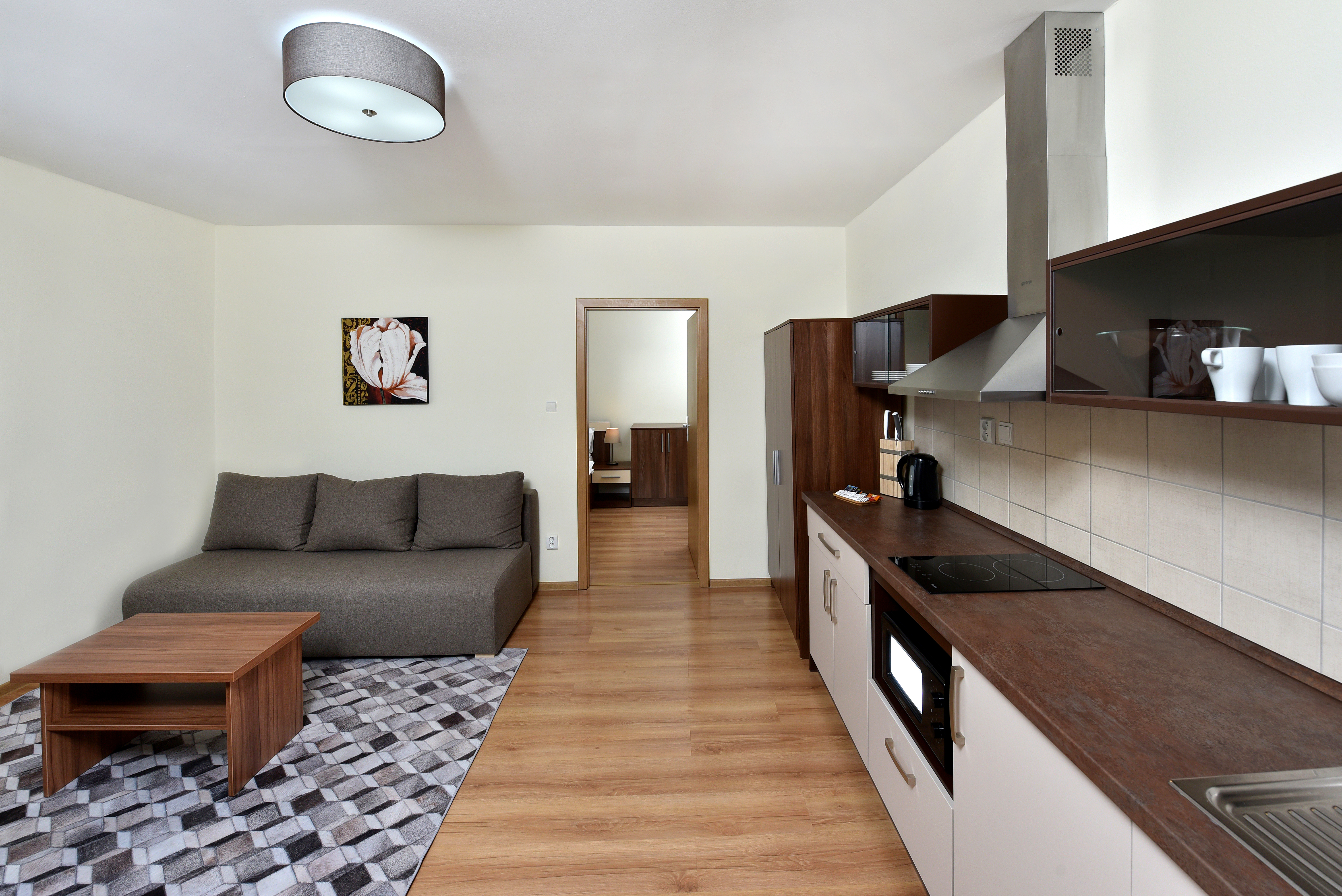 Apartment Capacity 5 One Bedroom