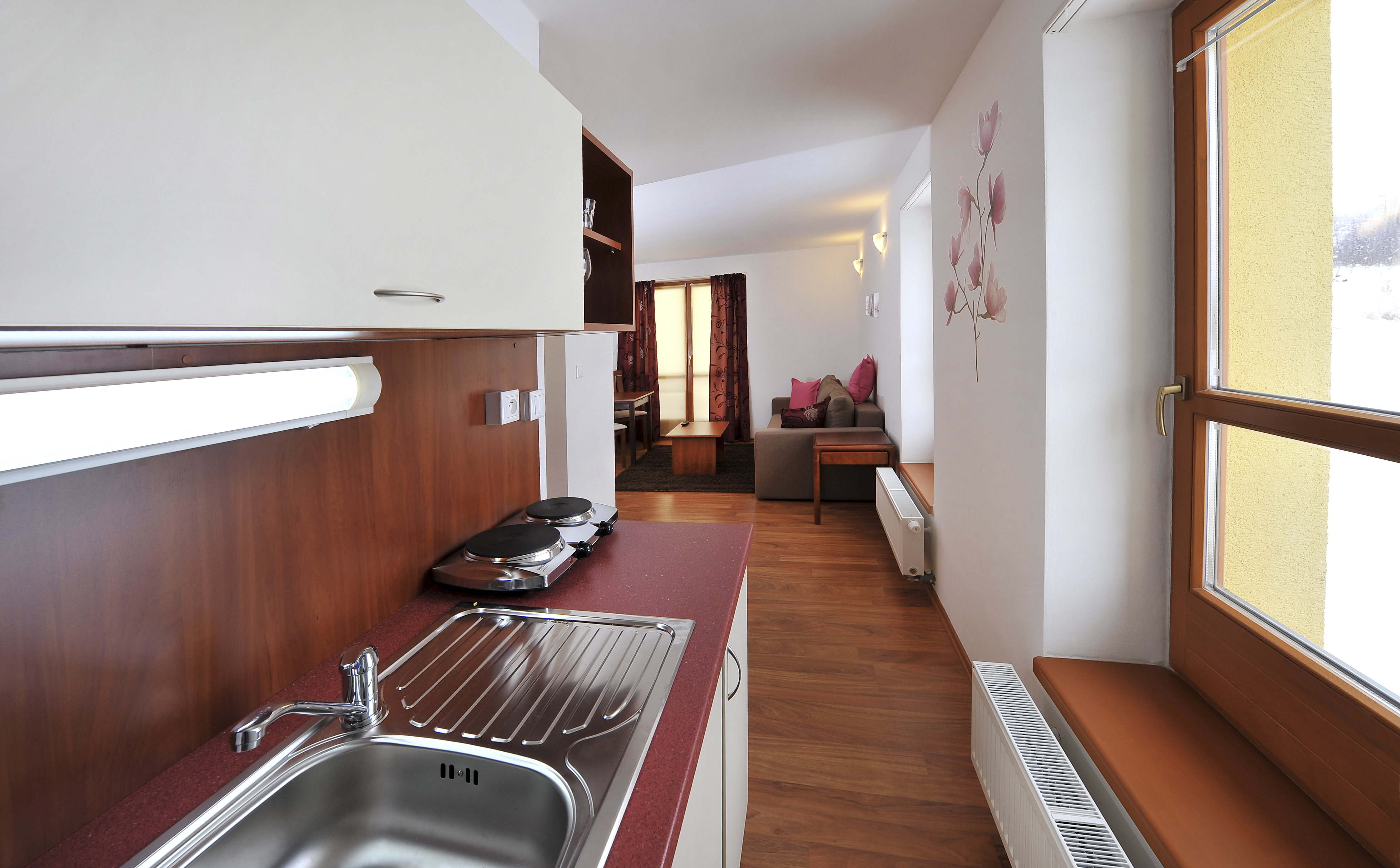 Apartment Capacity 3 One Bedroom