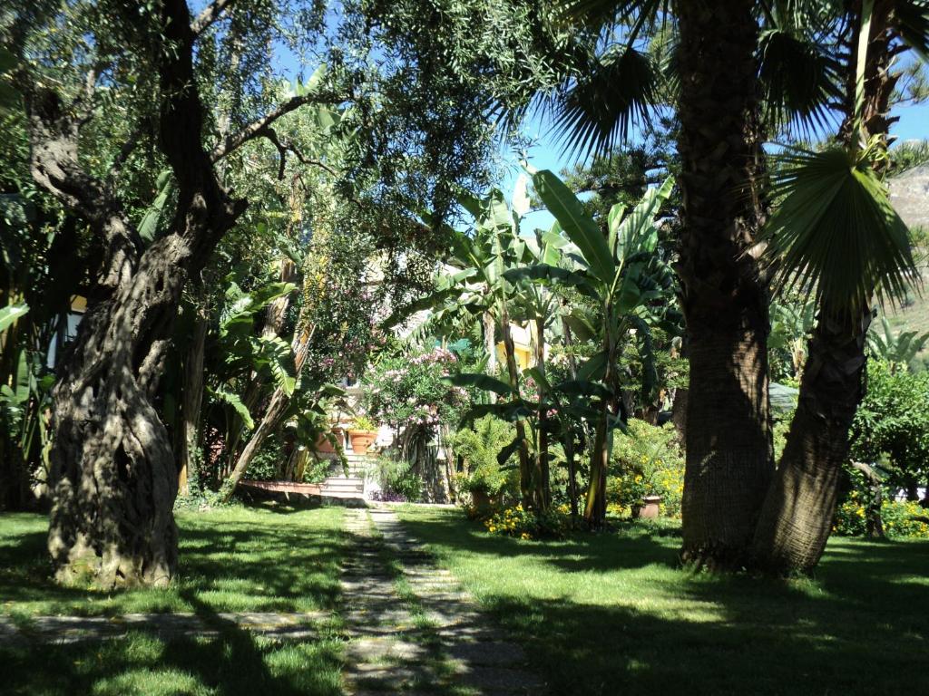 Apartment Garden View