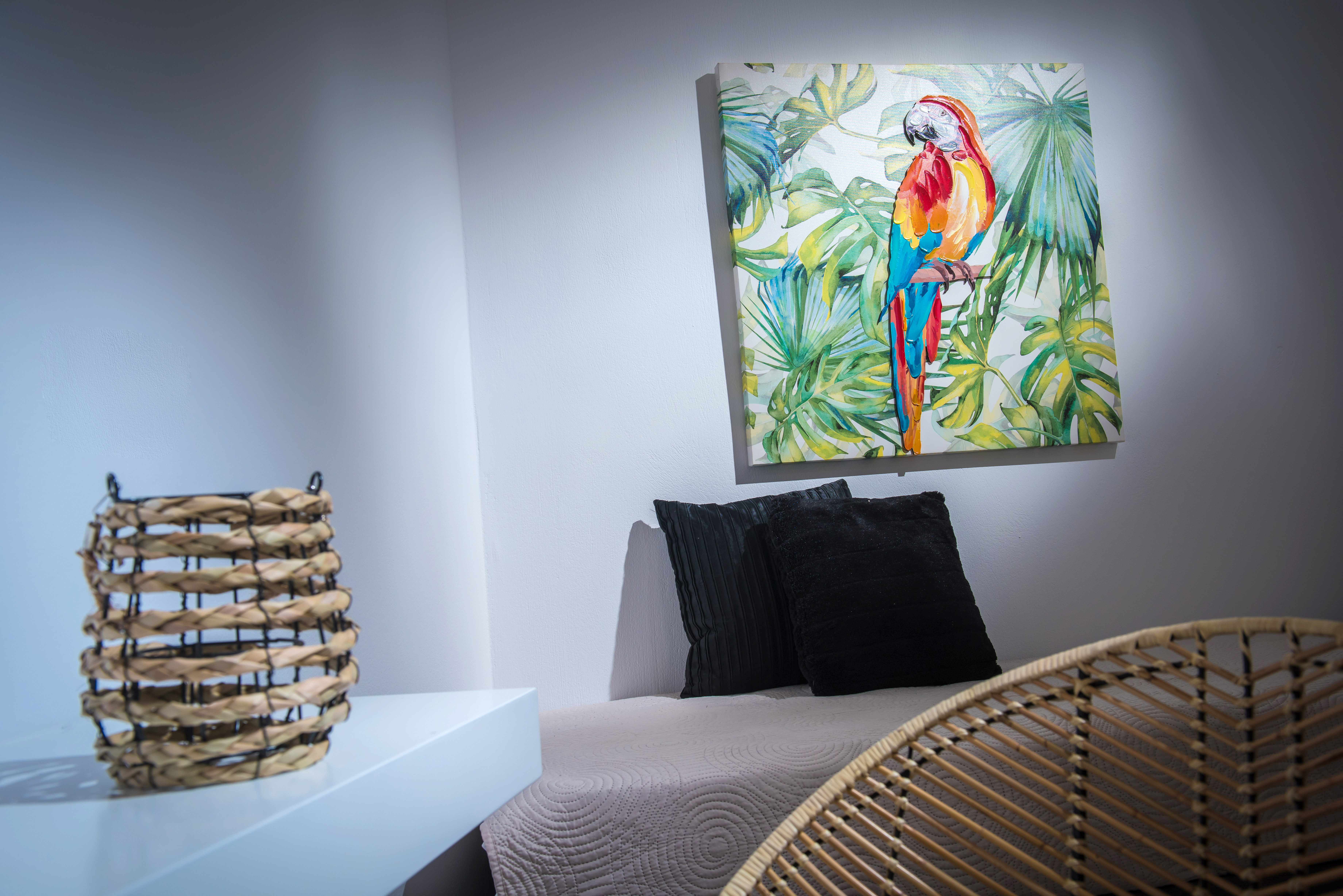 Studio Superior Capacity 3