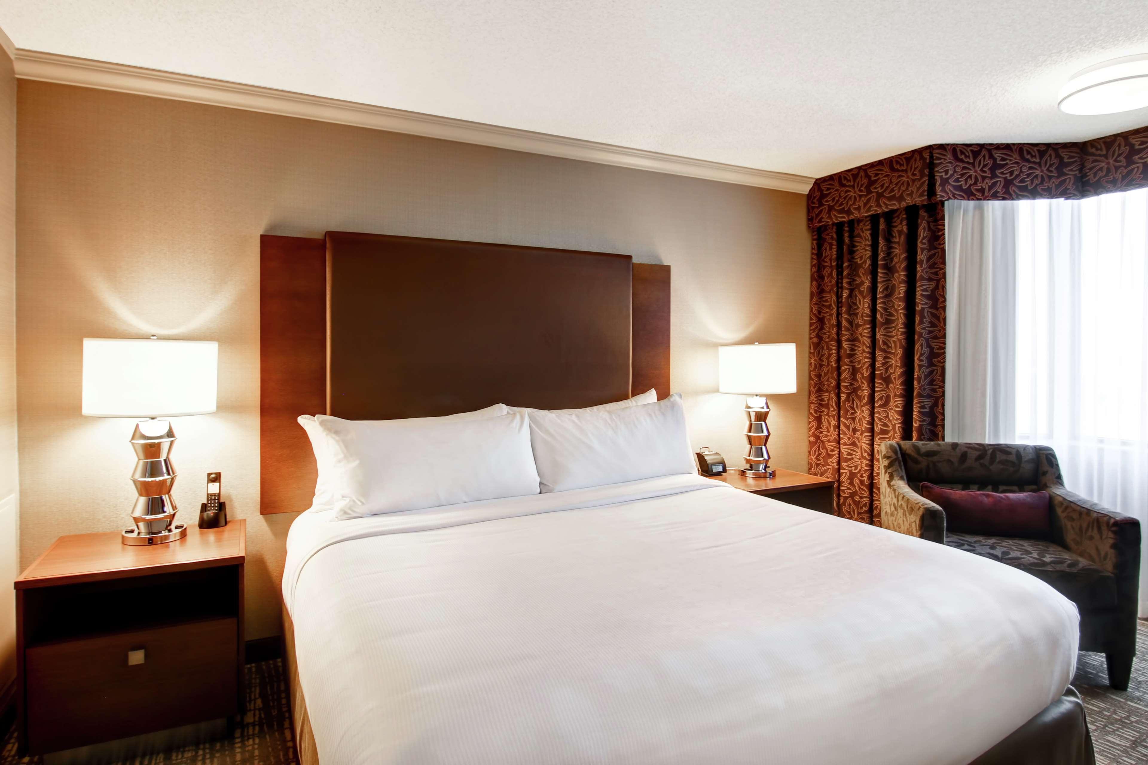 Suite King Bed Non Smoking