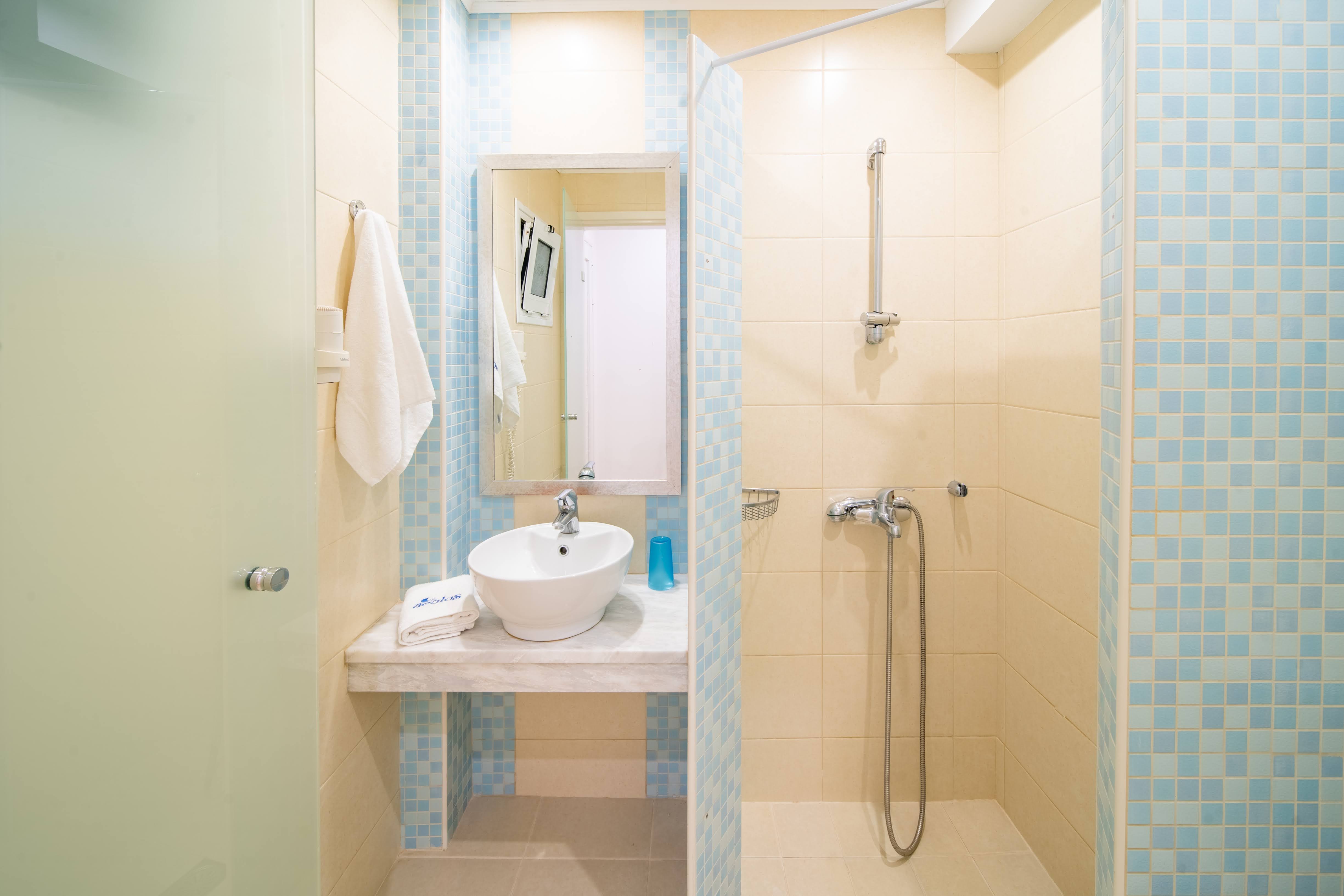 Double or Twin Standard