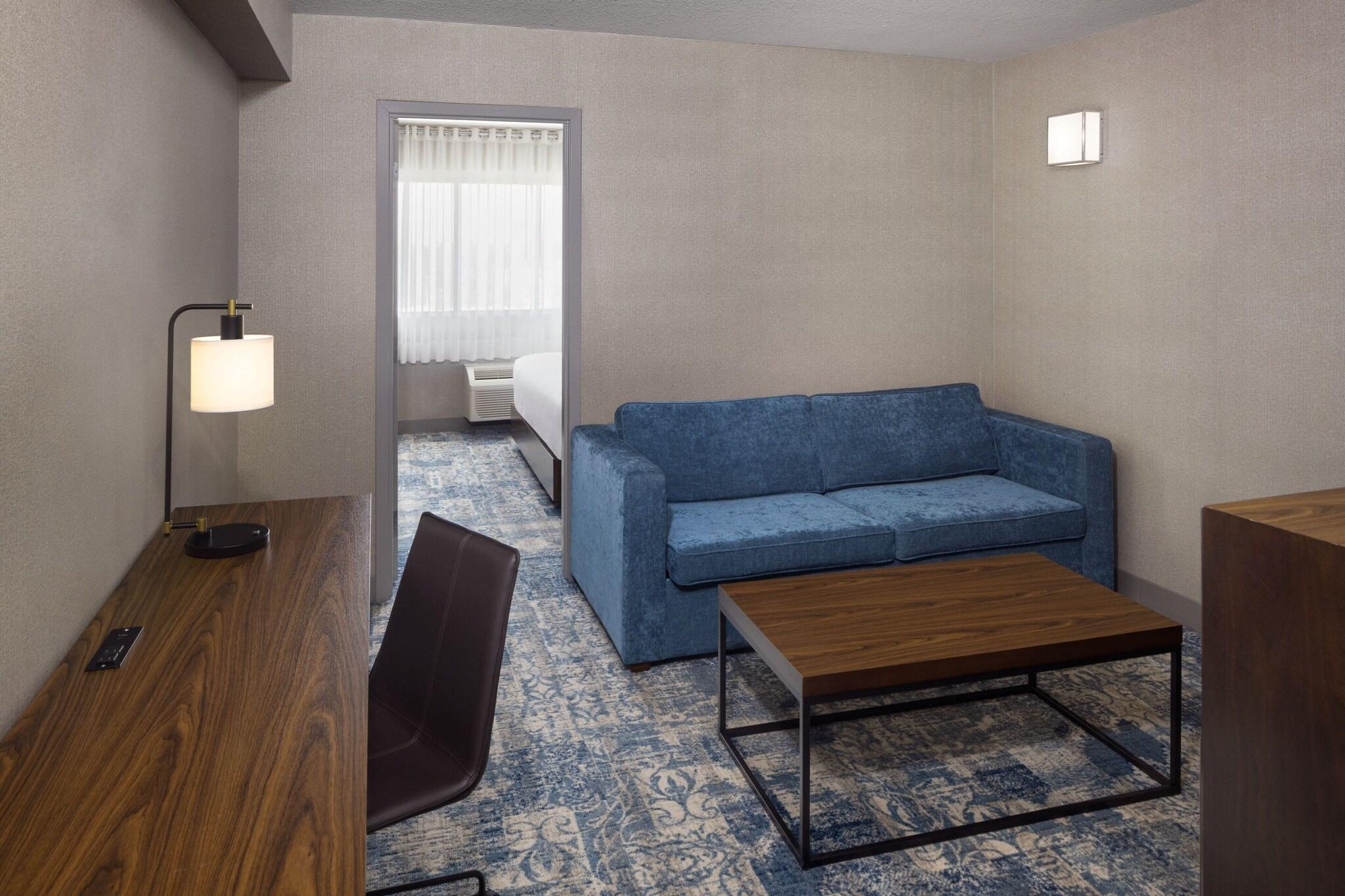 Suite King Bed One Bedroom 