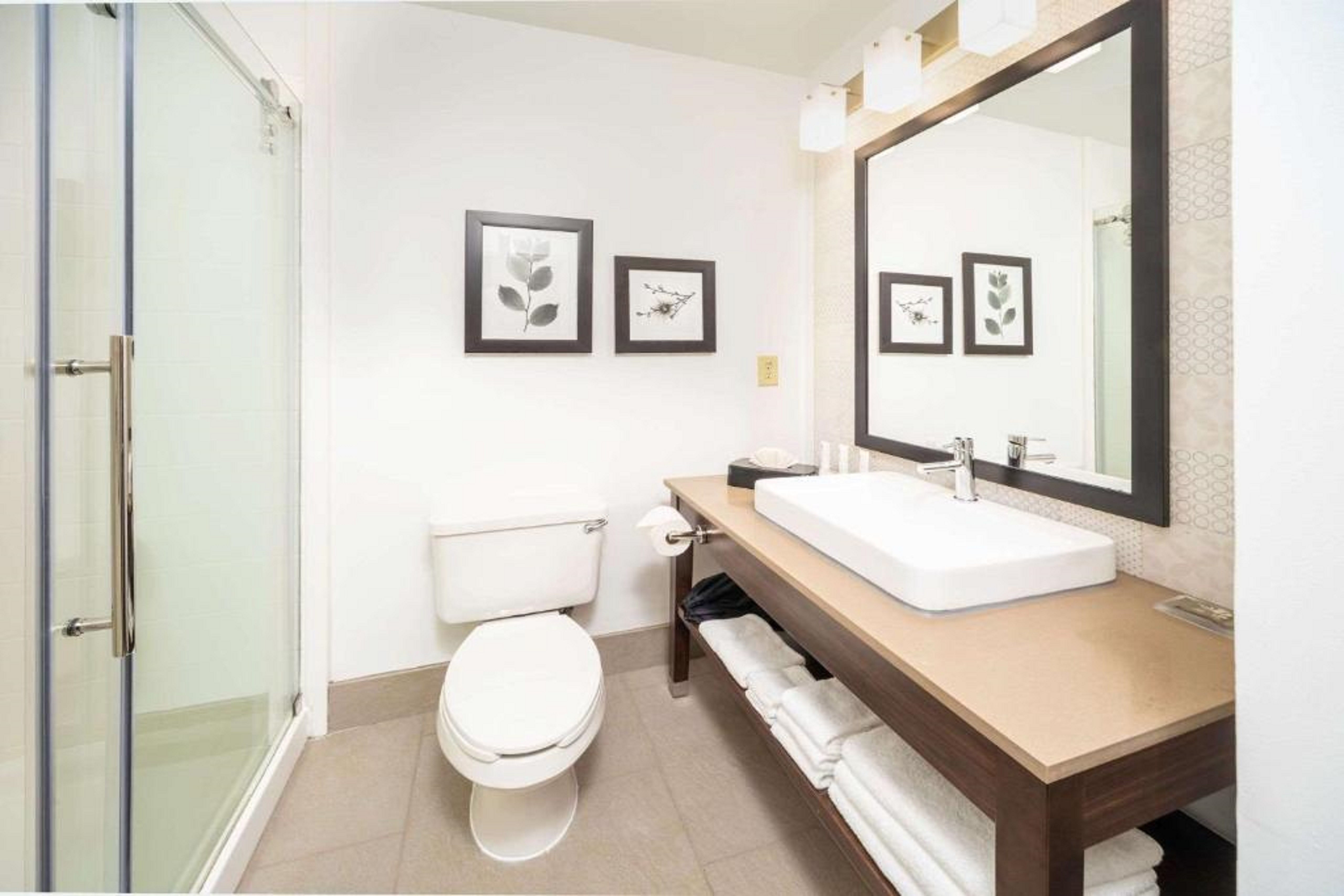 Suite Two Queen Beds One Bedroom