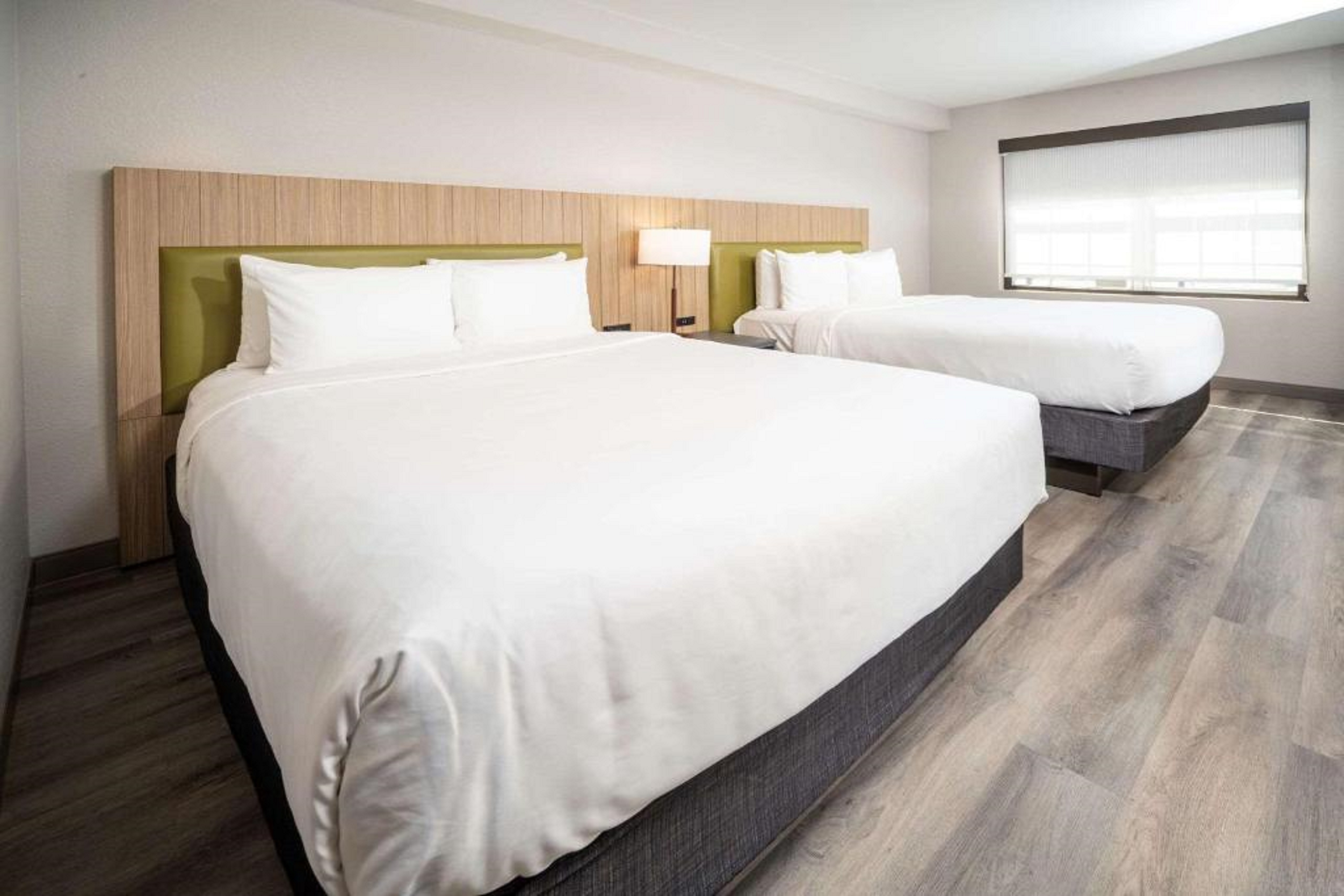 Suite Two Queen Beds One Bedroom