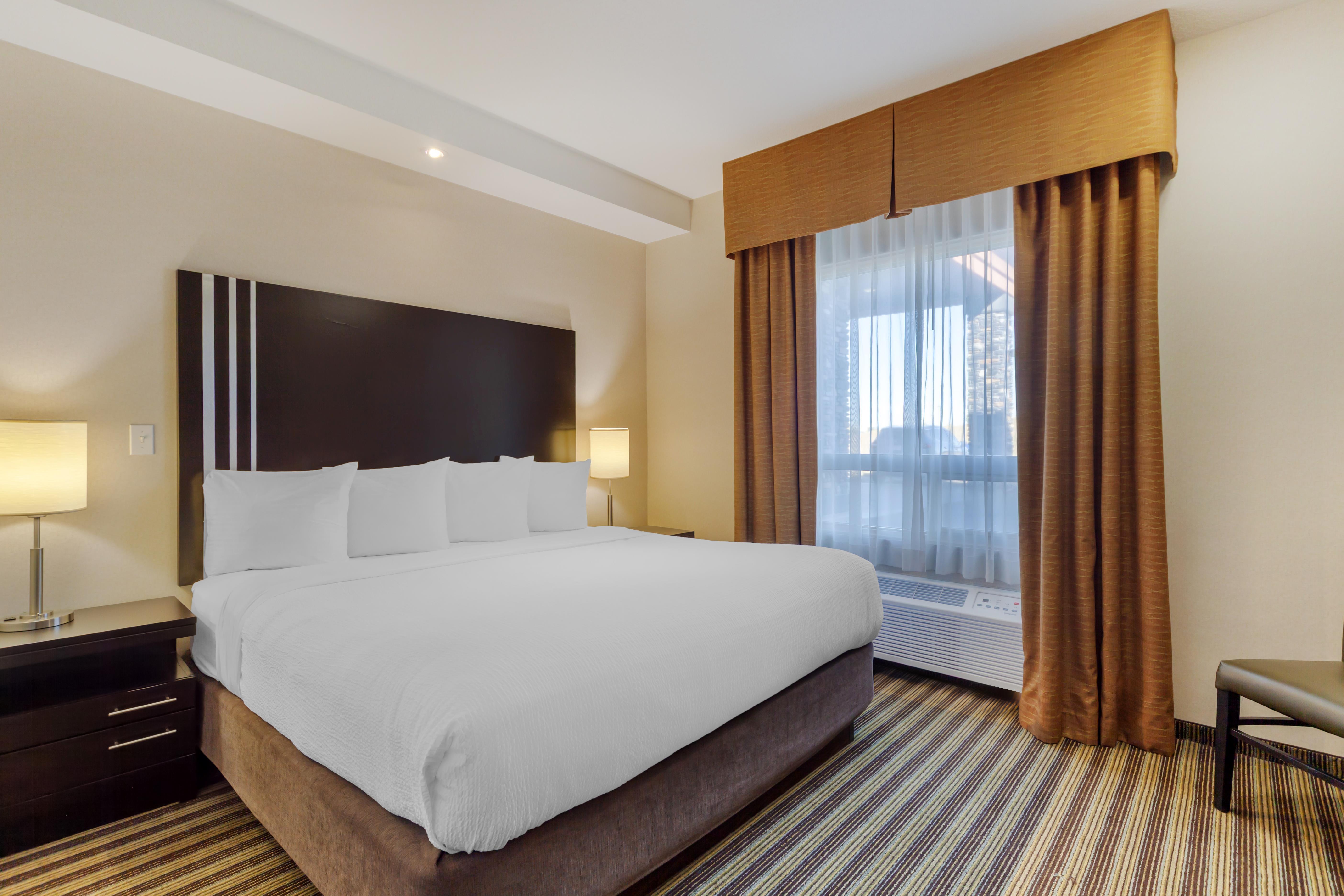 Suite Executive King Bed