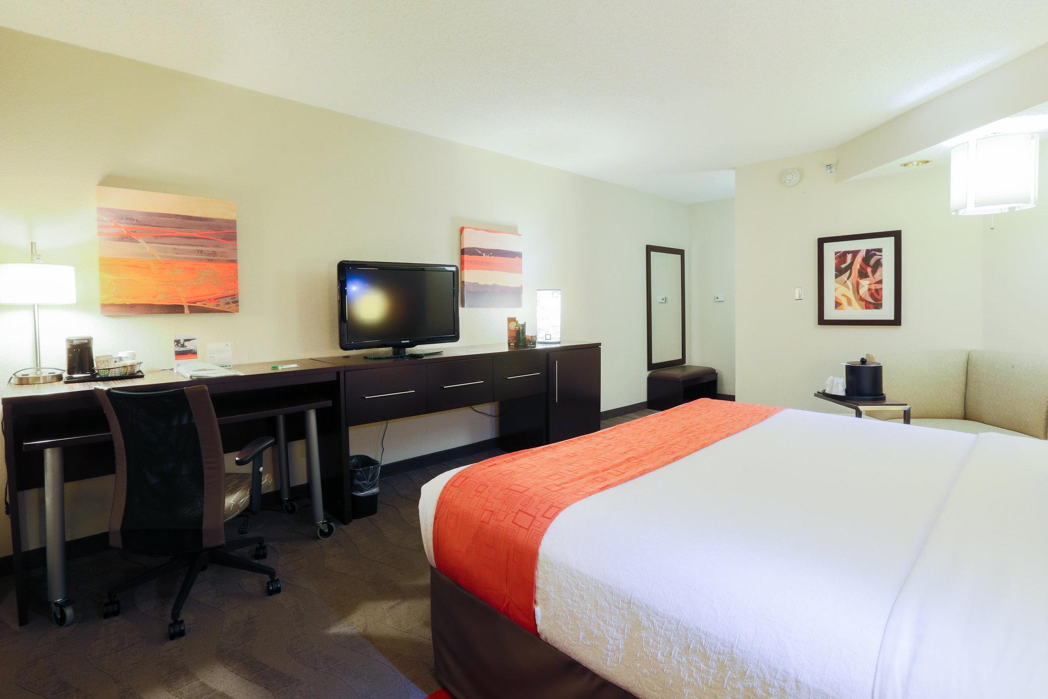 Suite King Bed Non Smoking