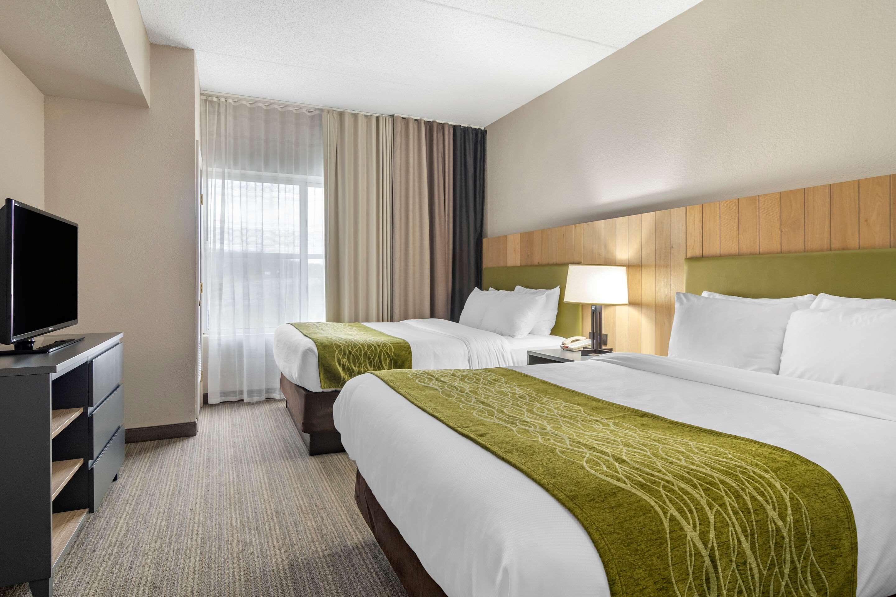 Suite Two Queen Beds