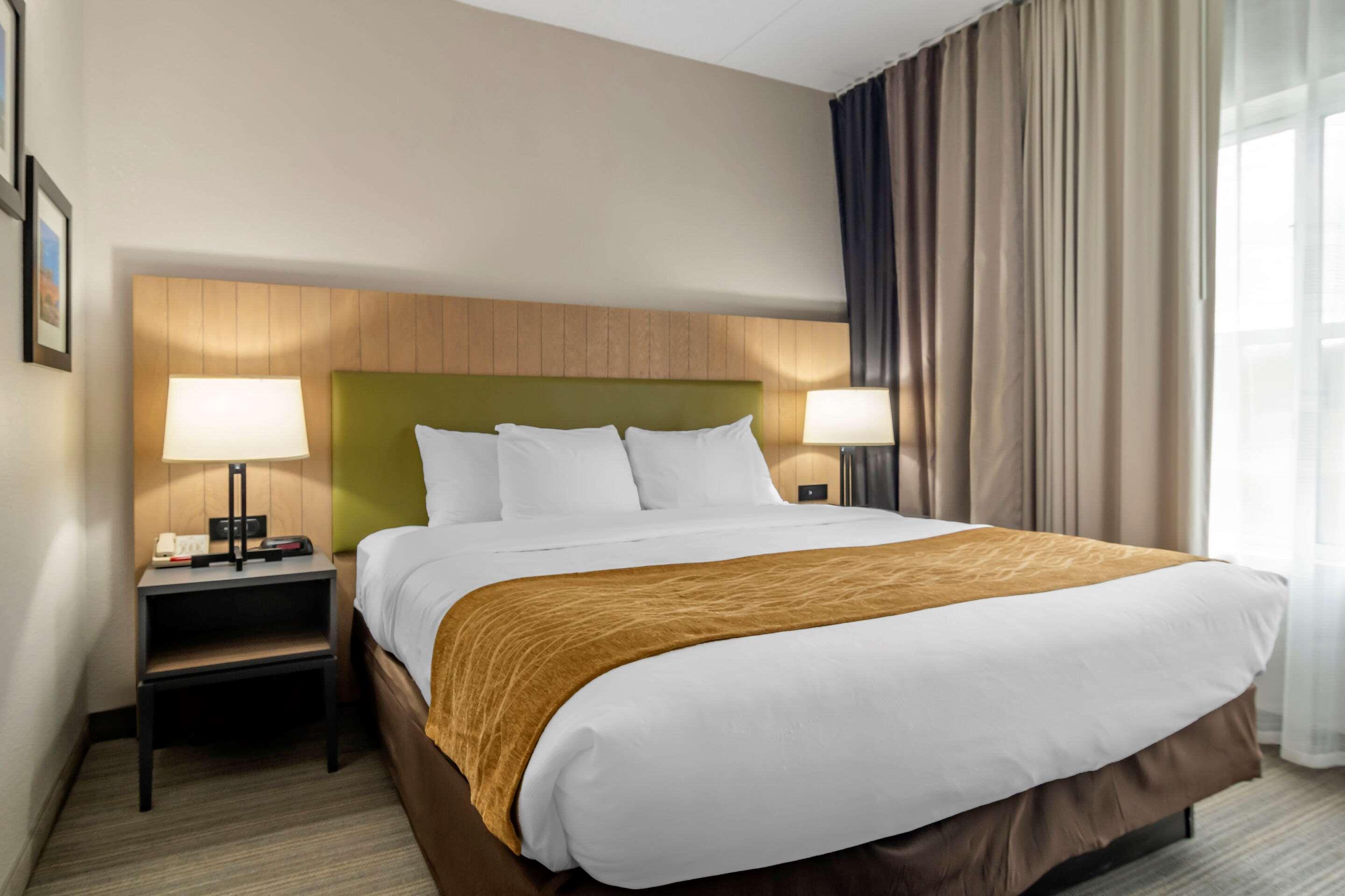 Suite King Bed Non Smoking