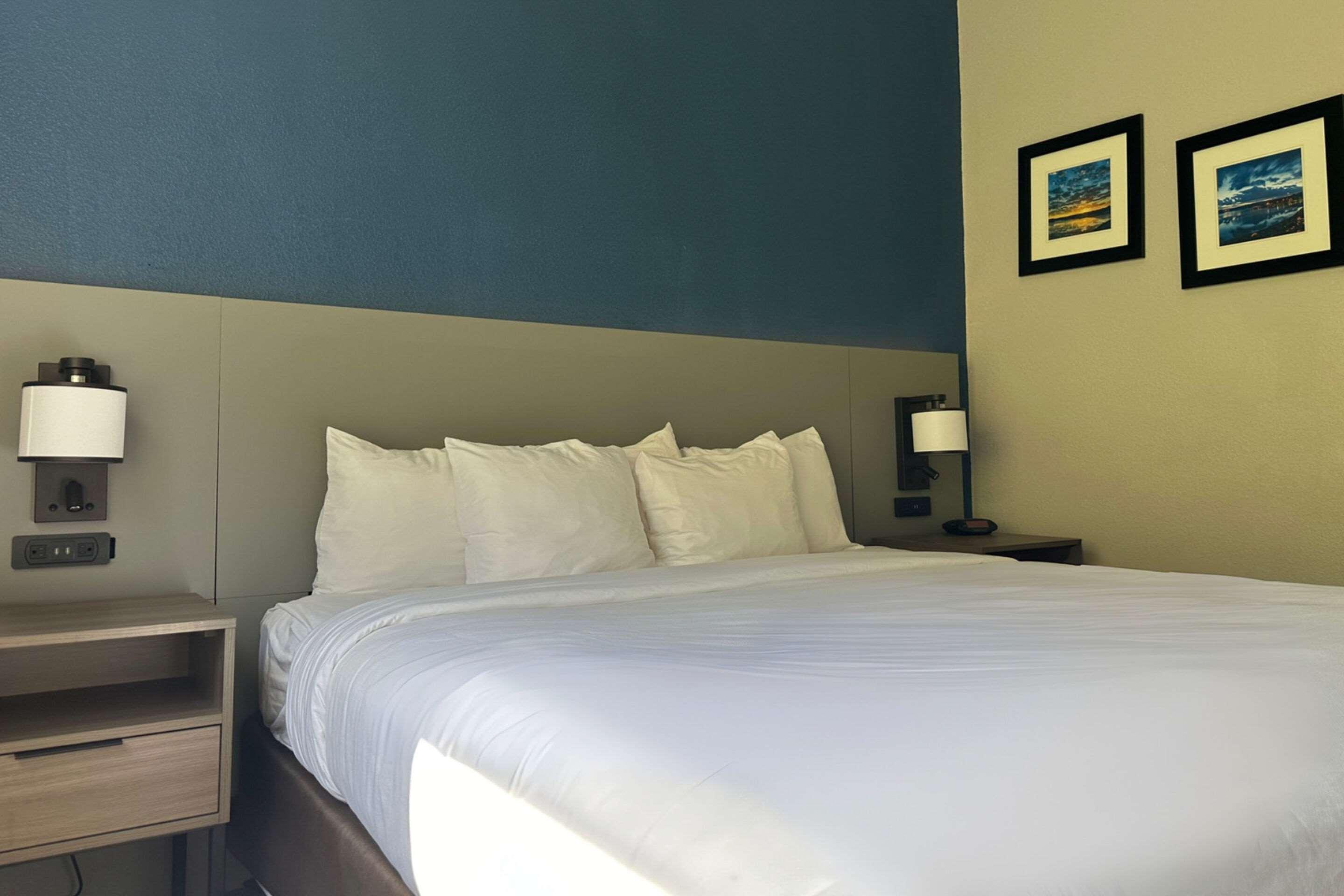 Suite King Bed Non Smoking