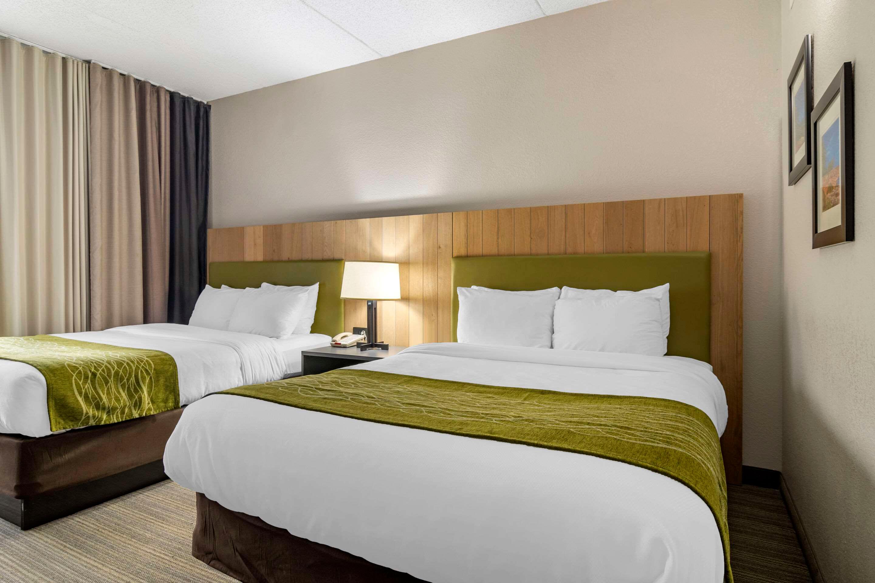 Suite Two Queen Beds