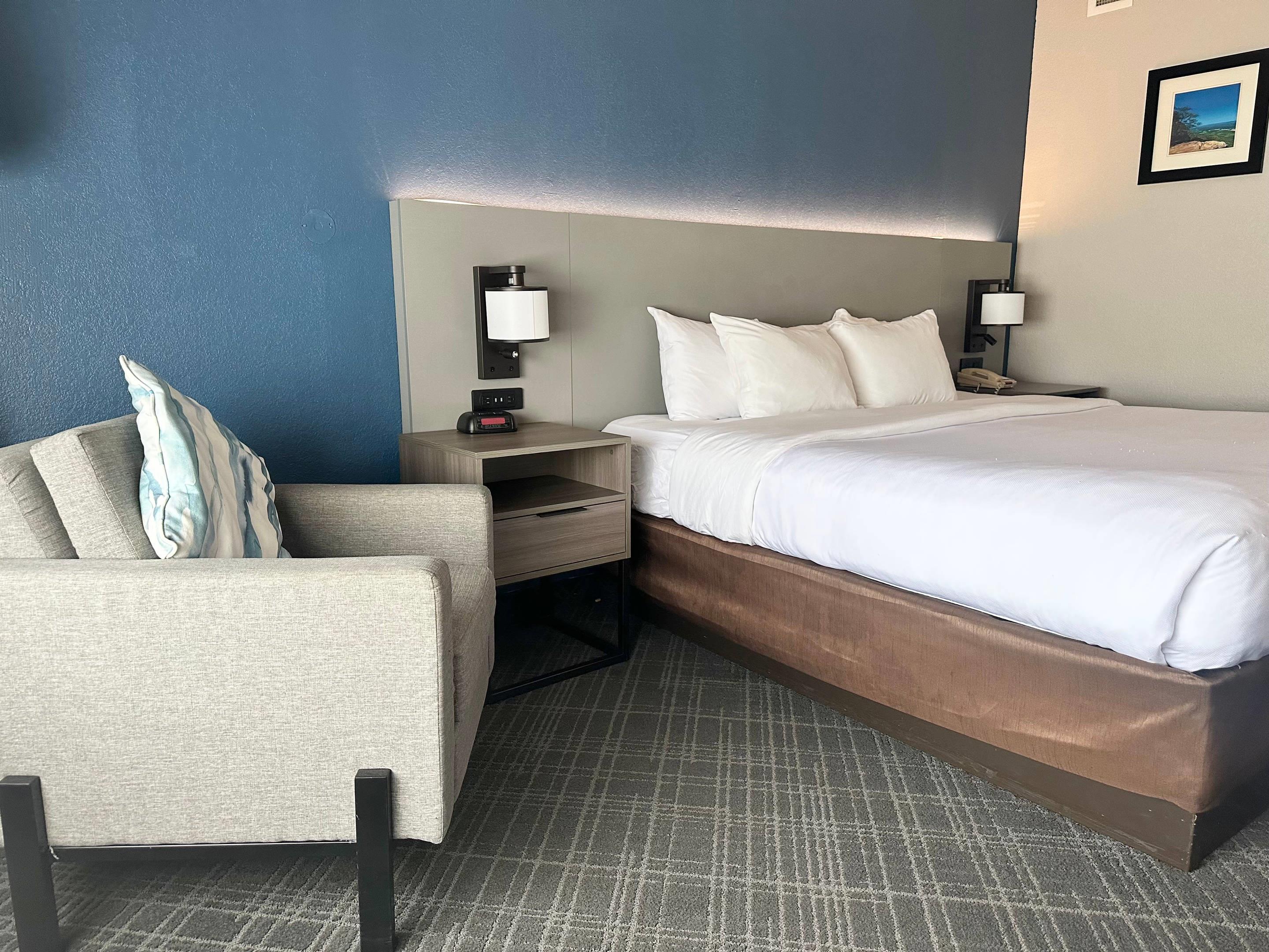 Suite King Bed Non Smoking