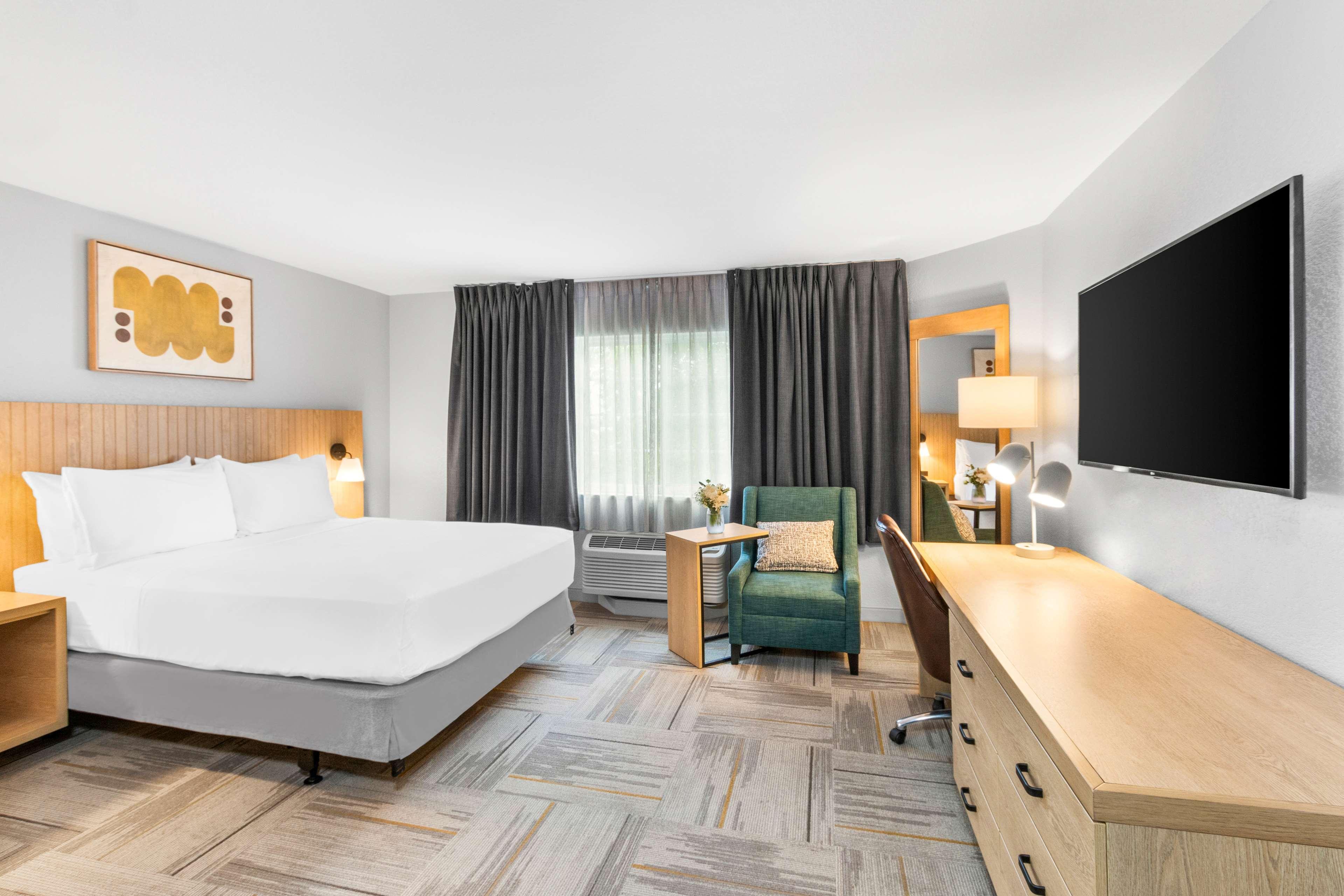 Studio King Size Bed