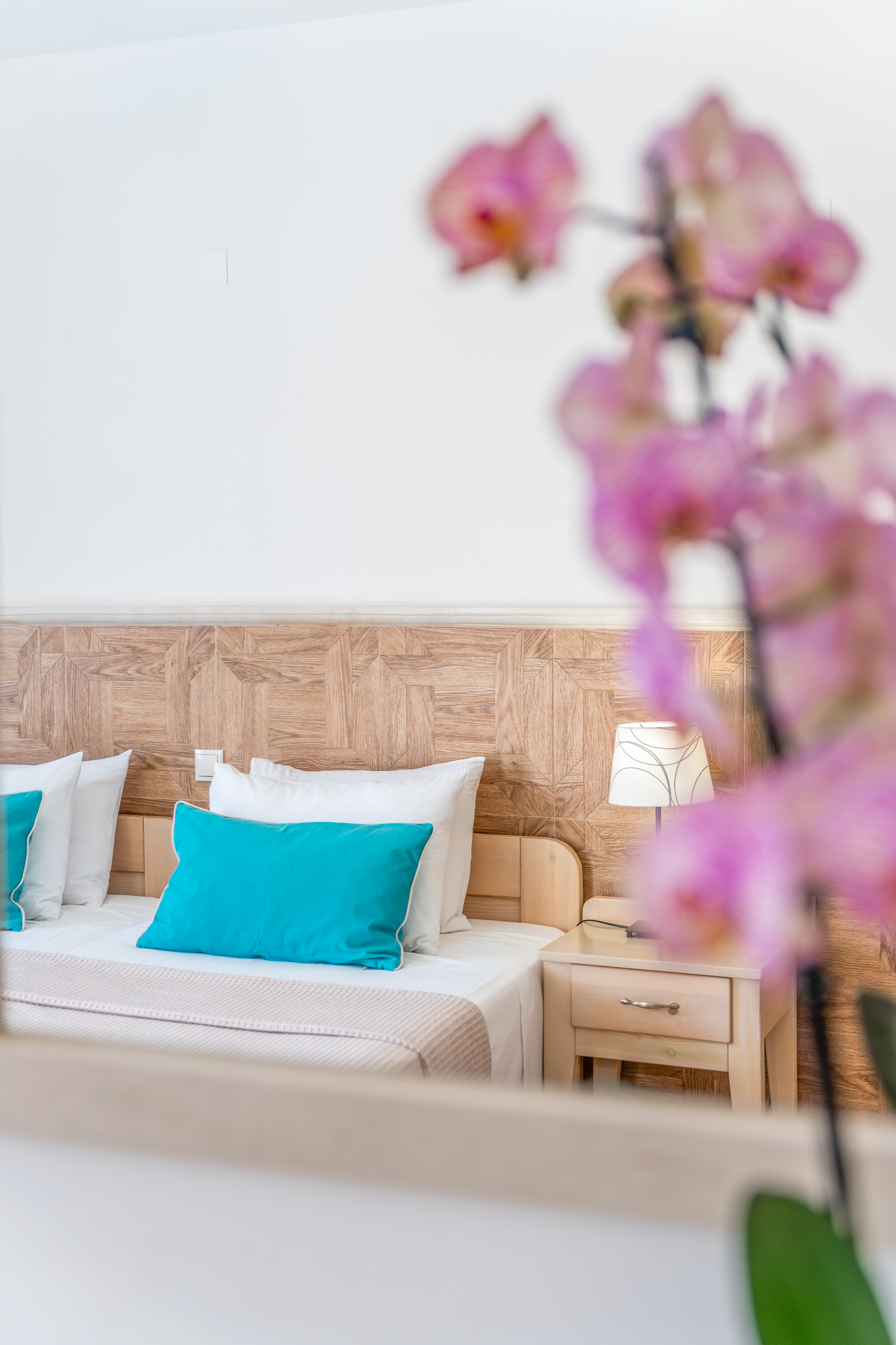 Apartment Superior One Bedroom