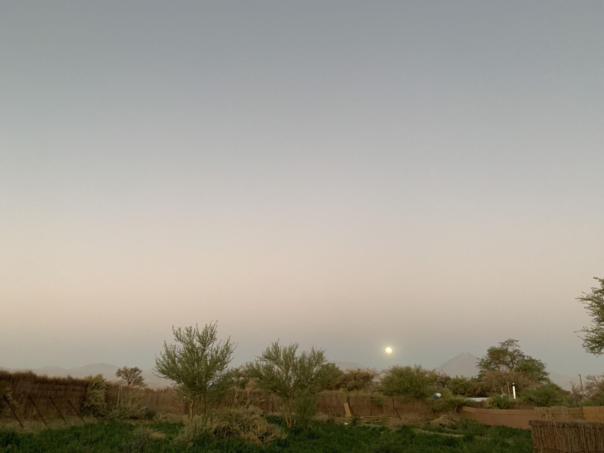 Double Superior Garden View