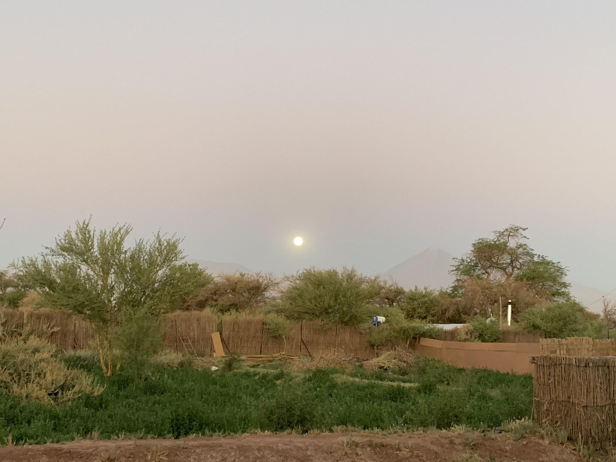 Double Superior Garden View