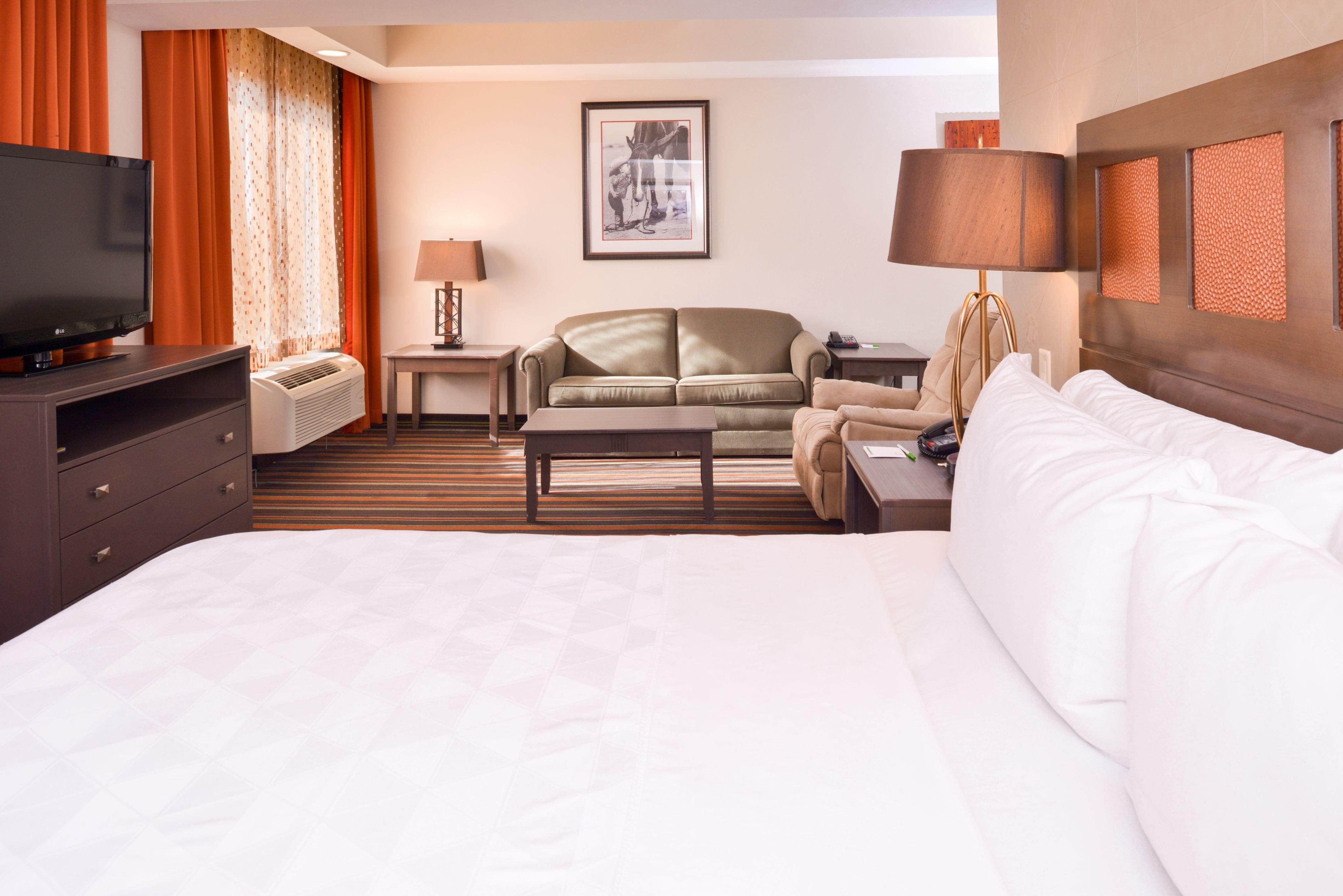 Suite Accessible King Size Bed