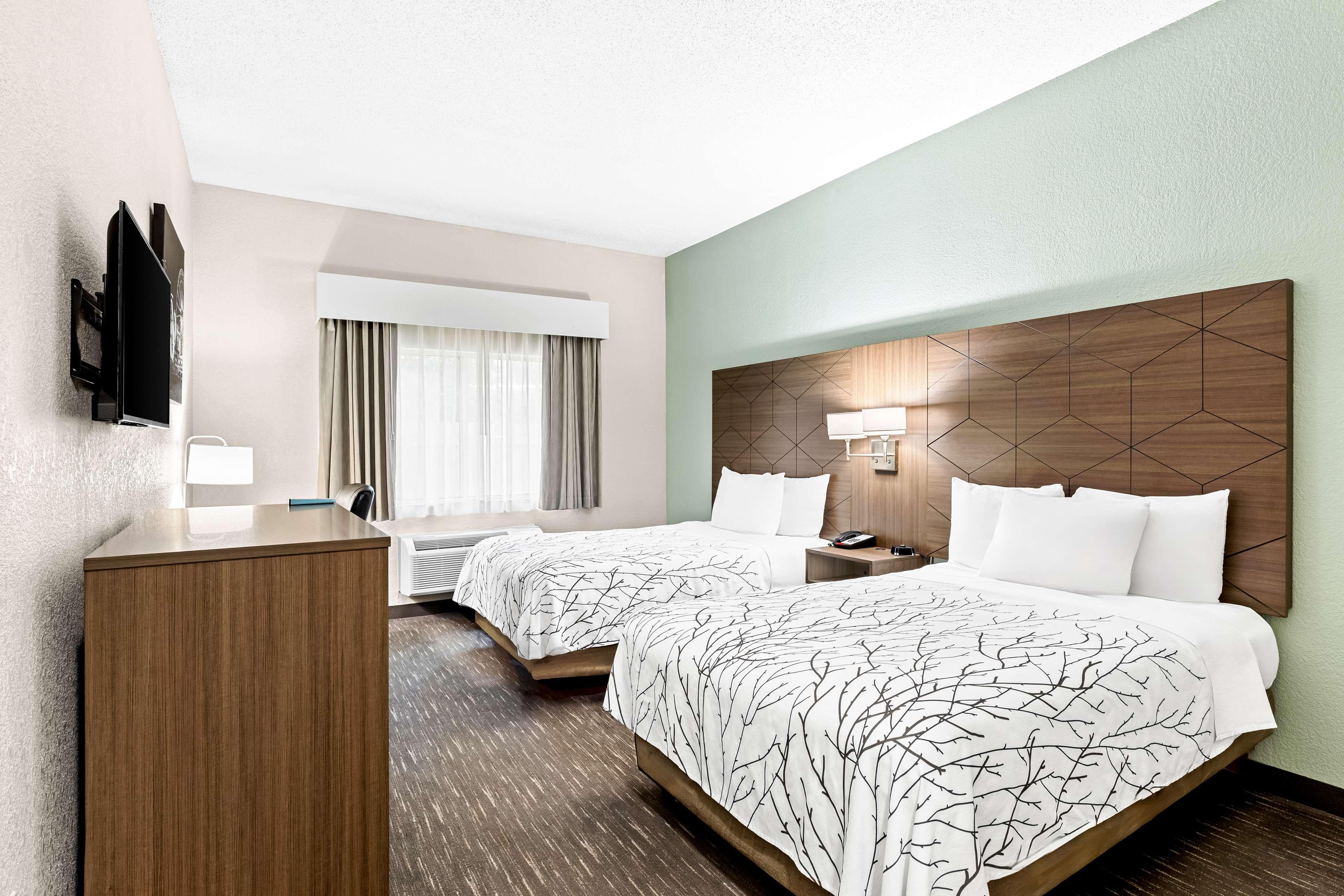 Room Two Double Beds