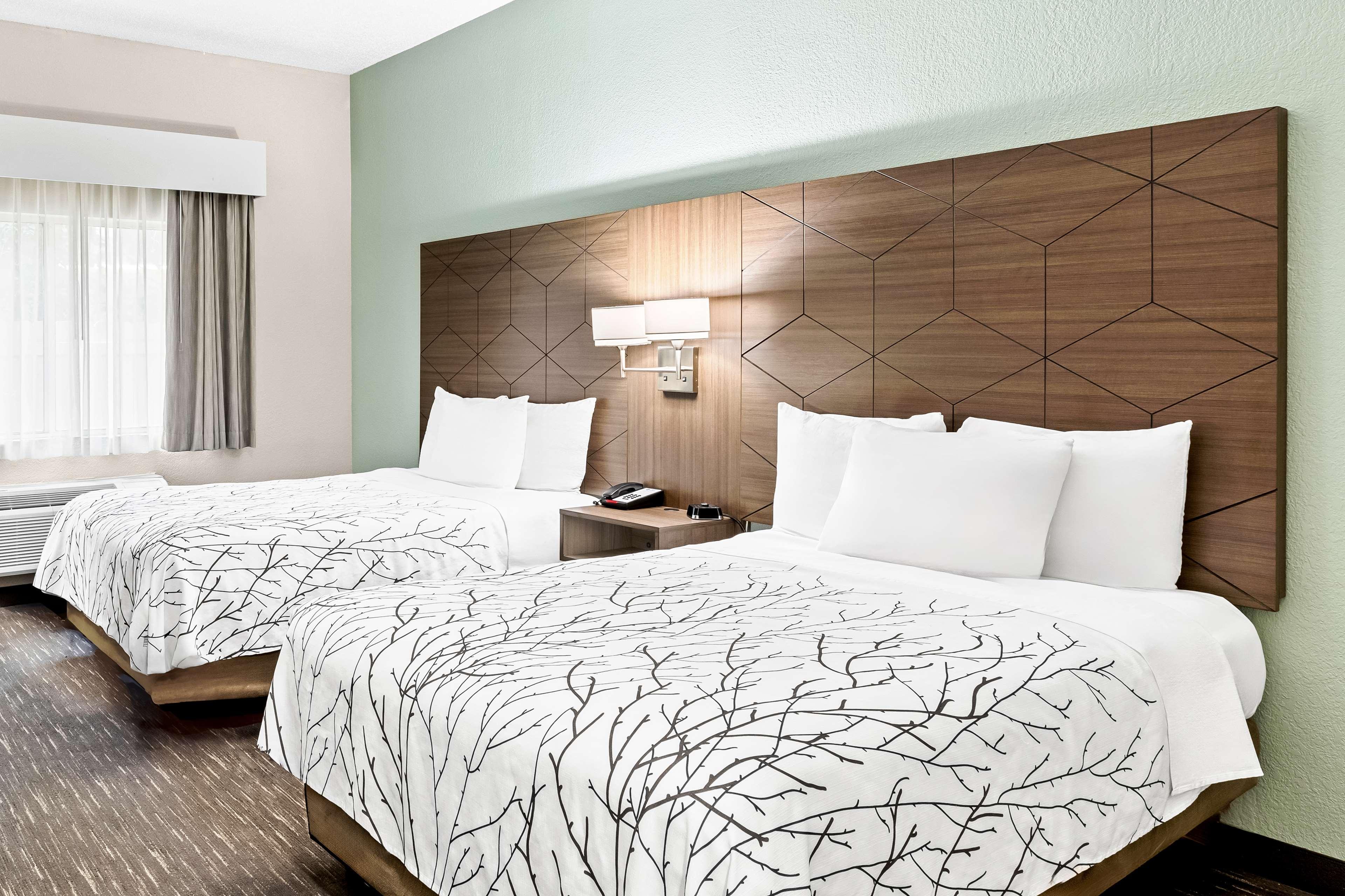 Room Two Double Beds