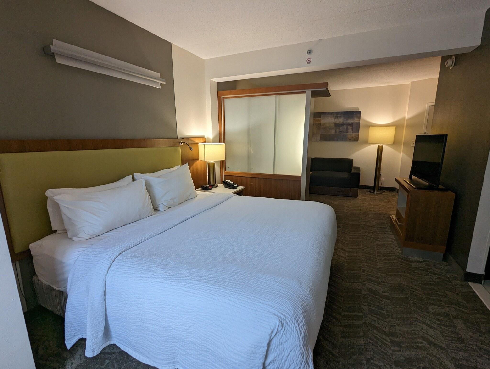 Studio Accessible King Size Bed