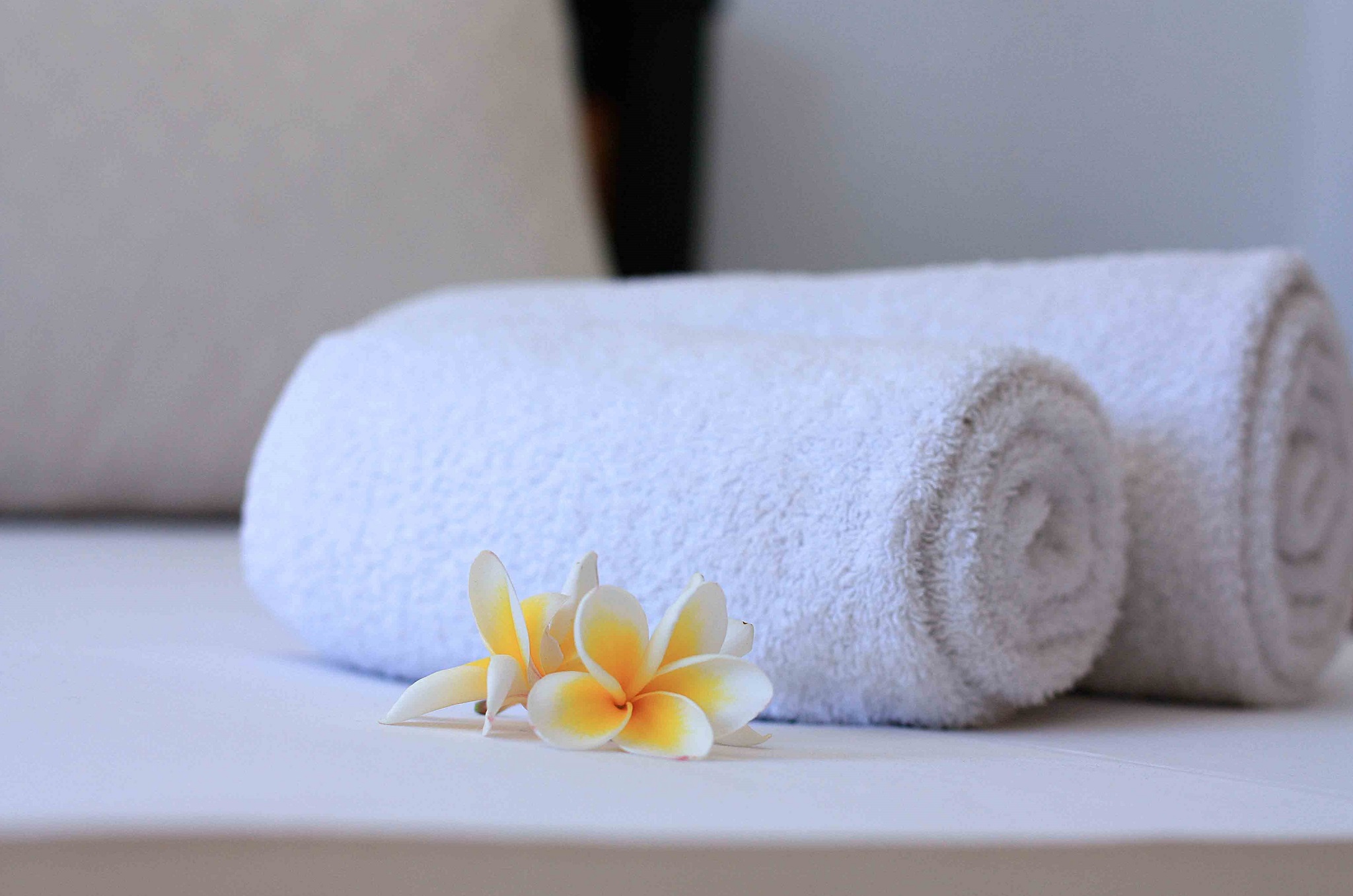 Apartment Capacity 3