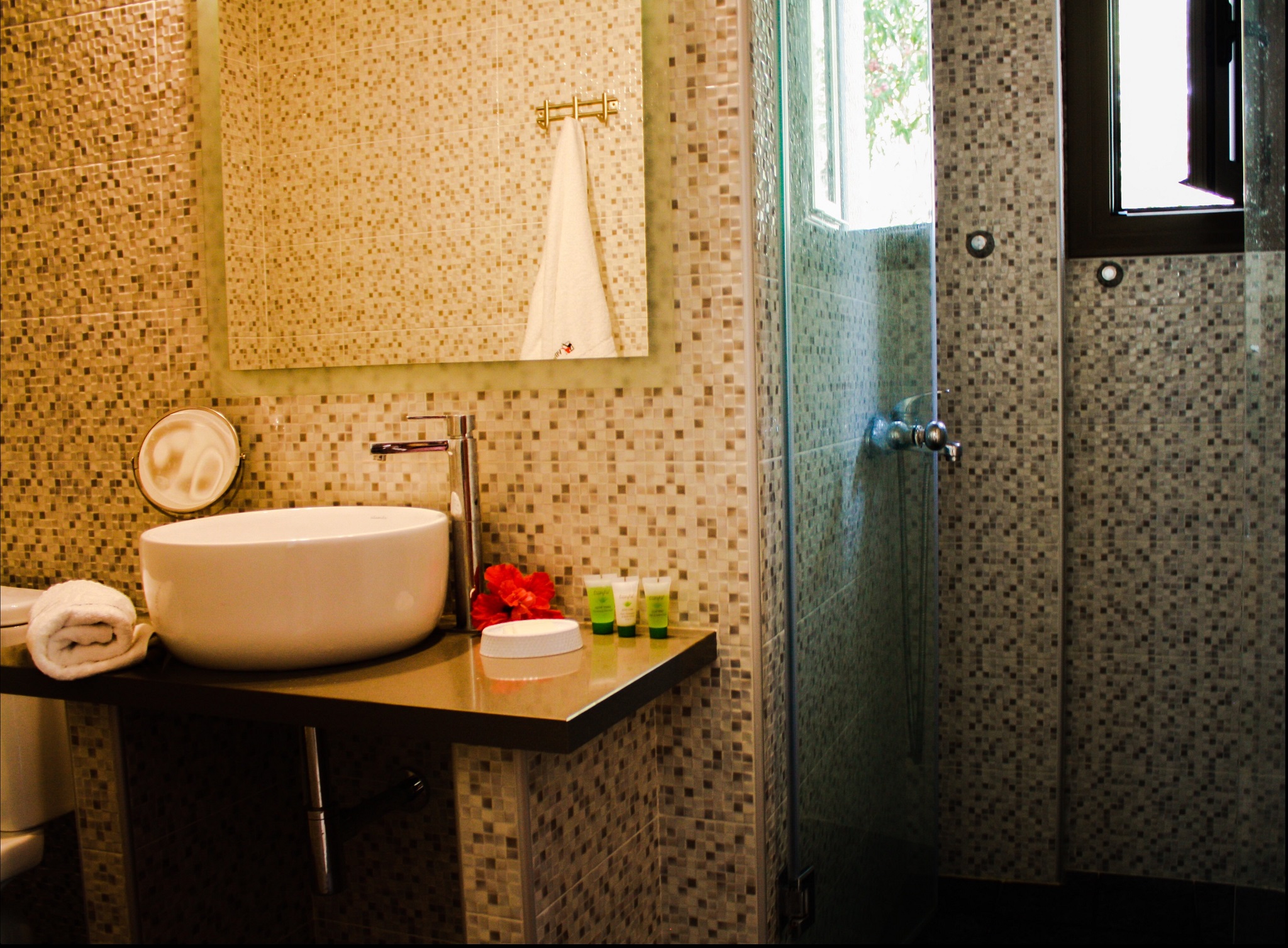 Apartment Capacity 4