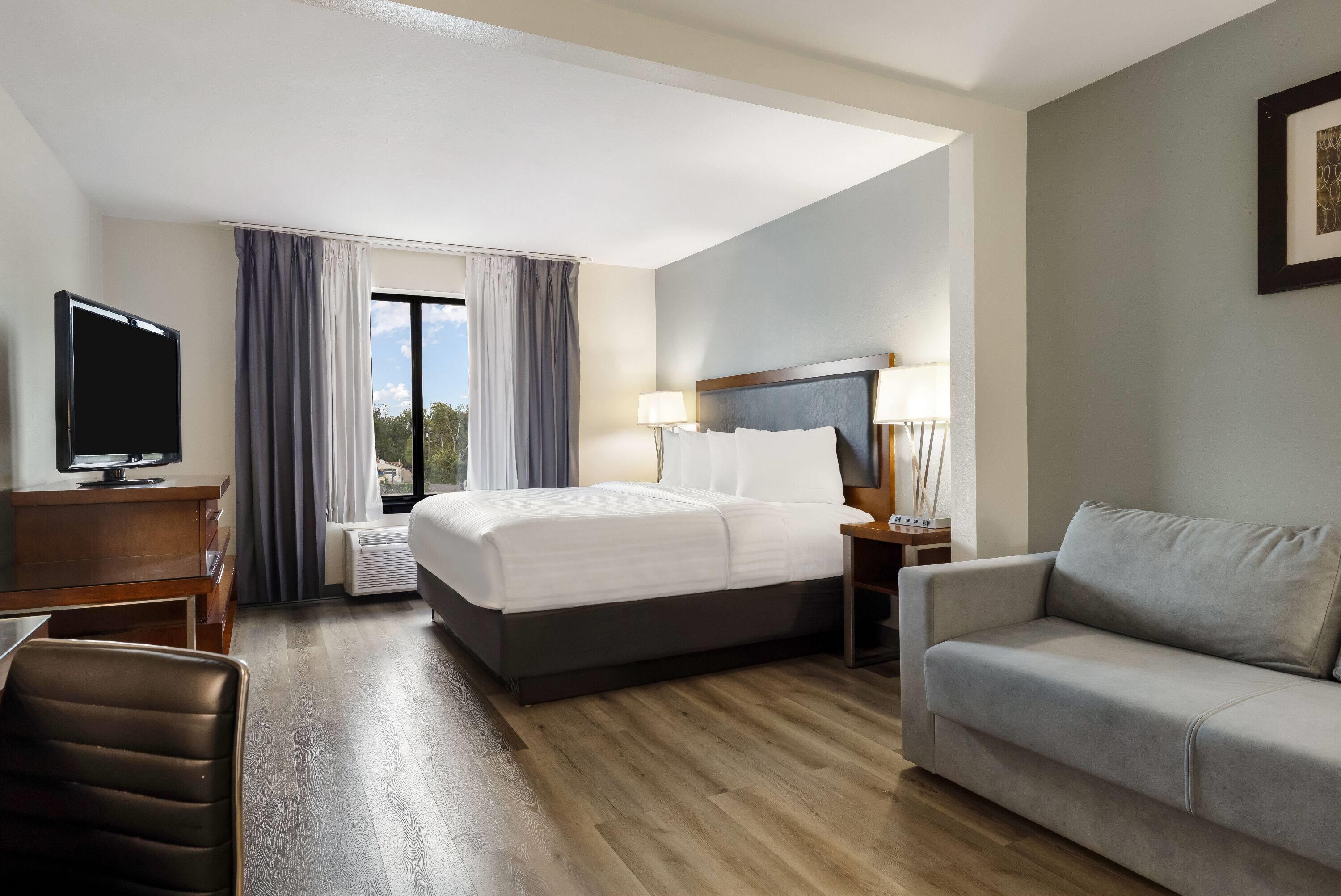 Room King Size Bed